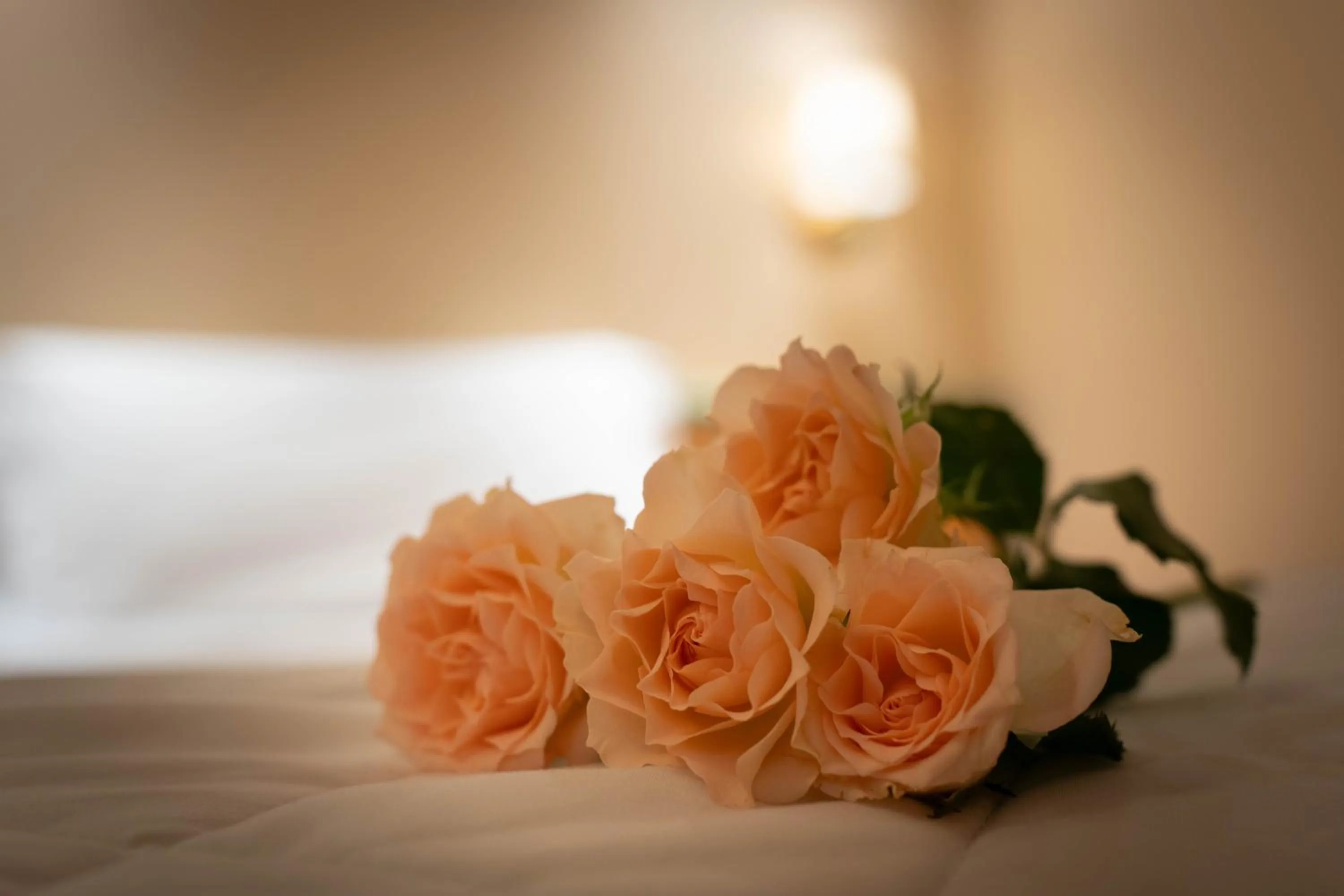 Decorative detail, Bed in Hotel Iris