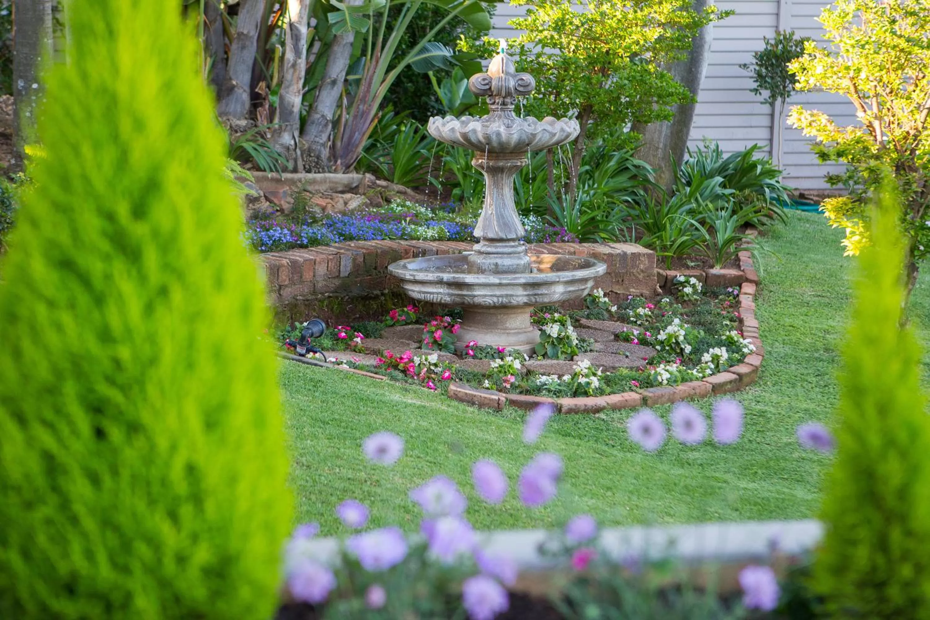 Garden view, Garden in La Vida Luka - Luxury Guesthouse