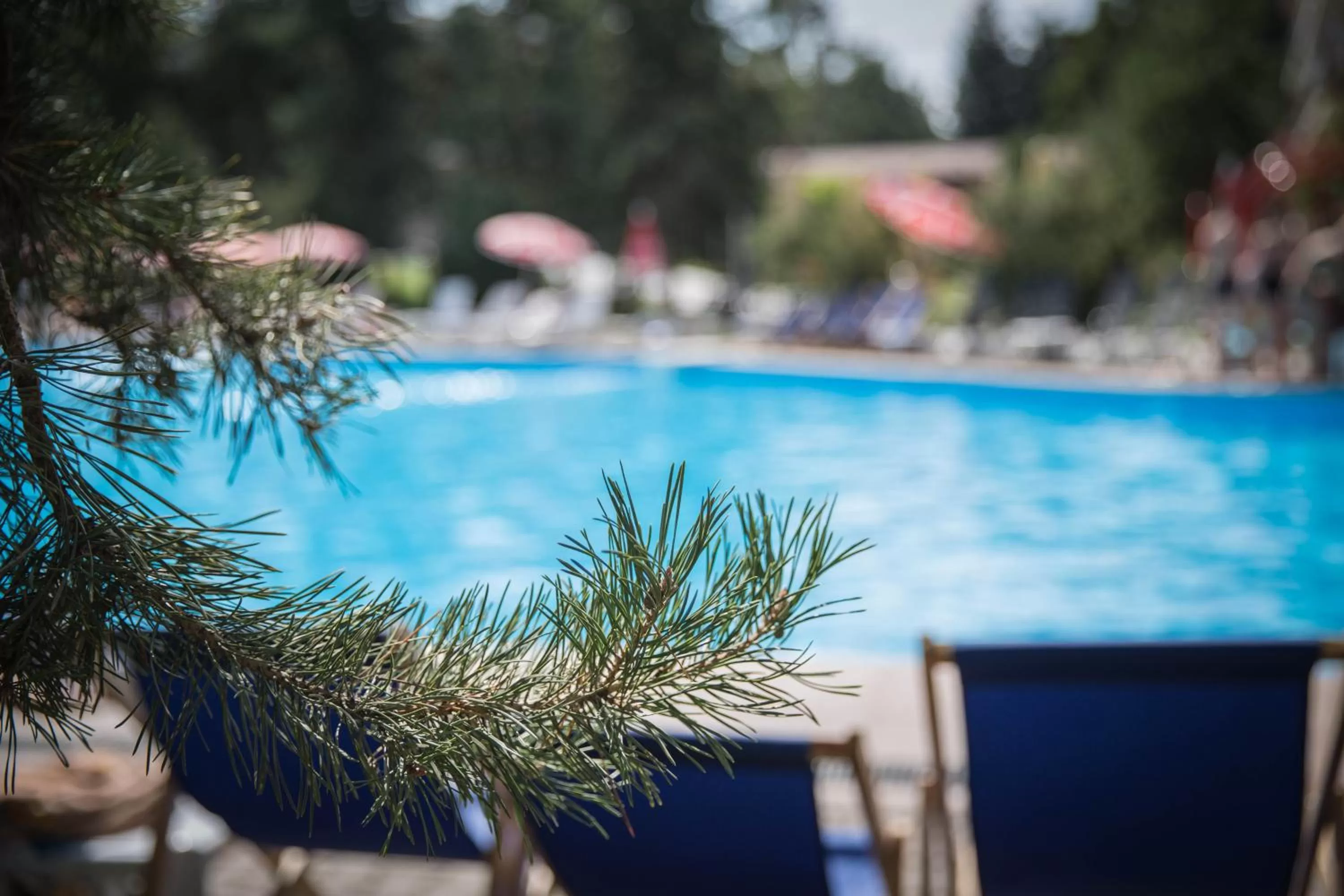 Pool view, Swimming Pool in Alpen Ville