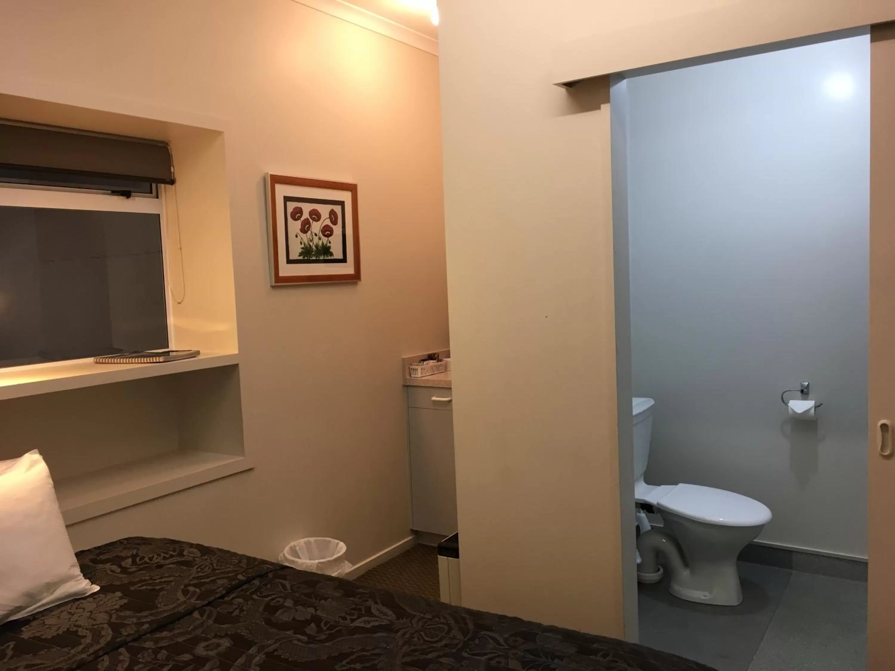 Toilet in Motel on Carroll