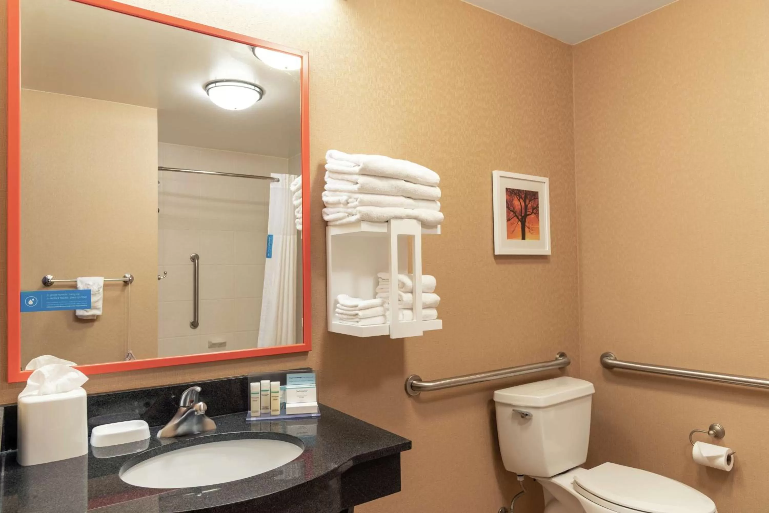 Bathroom in Hampton Inn & Suites Marshalltown