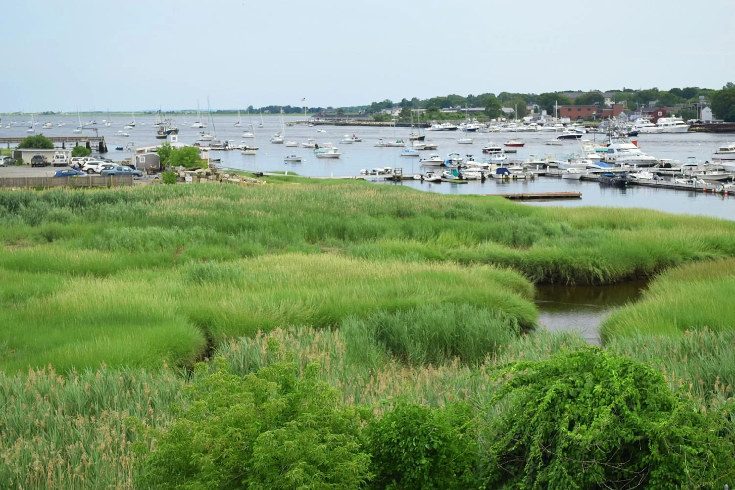 River view in The Inn At Ring's Island