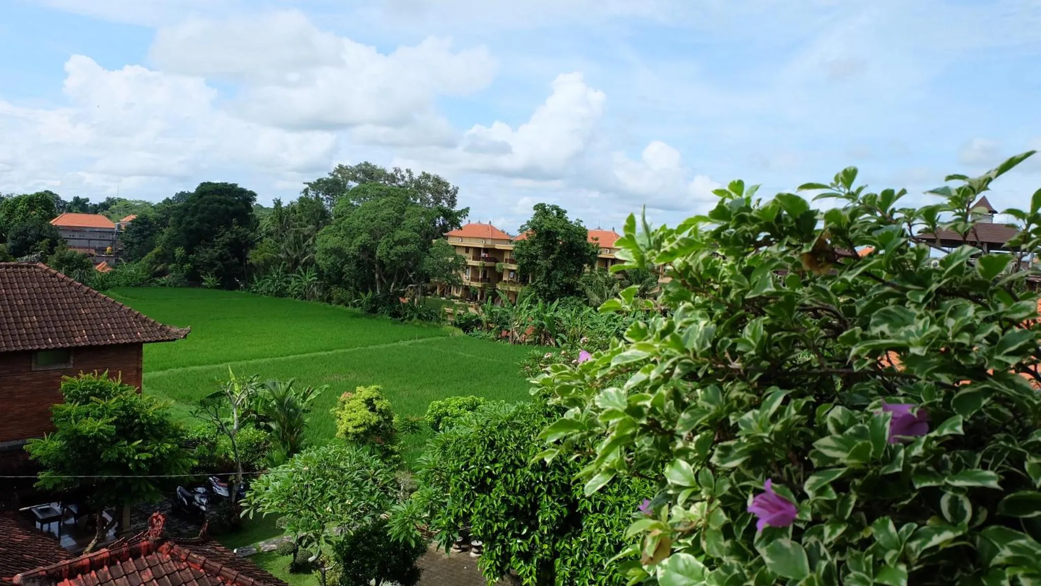 View (from property/room) in Kun - Kun Guest House Ubud