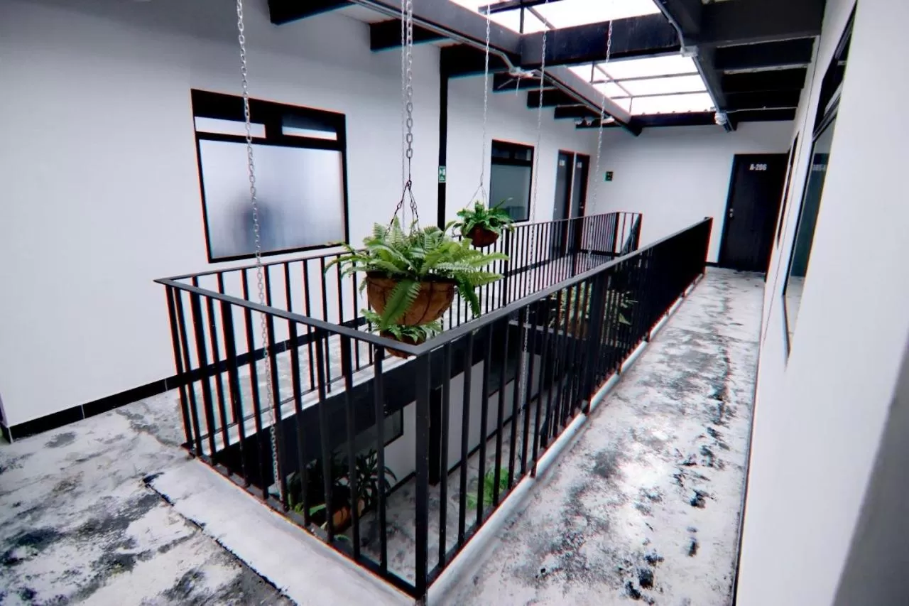 Balcony/Terrace in Hotel Casa Malibú