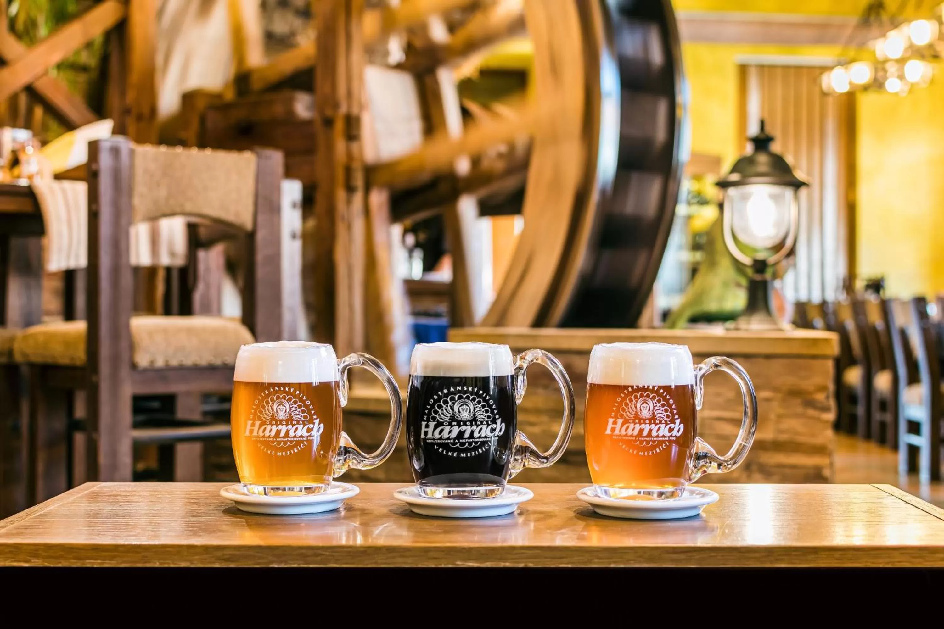 Restaurant/places to eat in Hotel Jelínkova vila