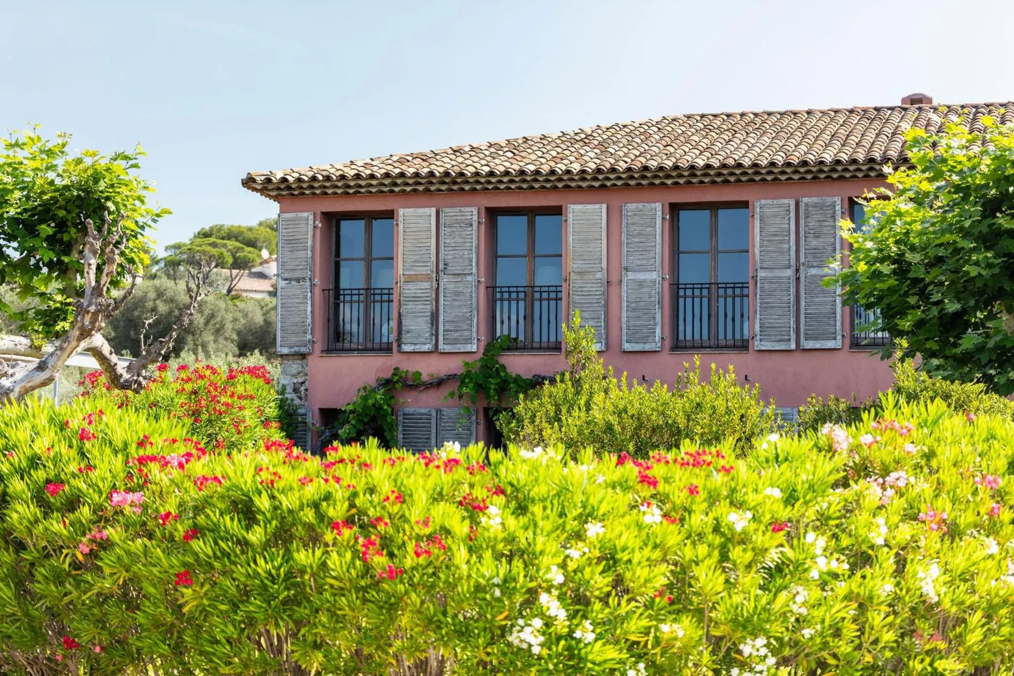 Property building in La Bastide Du Clos des Roses - Teritoria