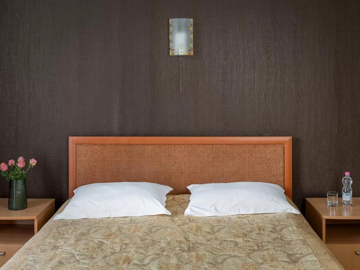 Standard Double Room in Park Hotel