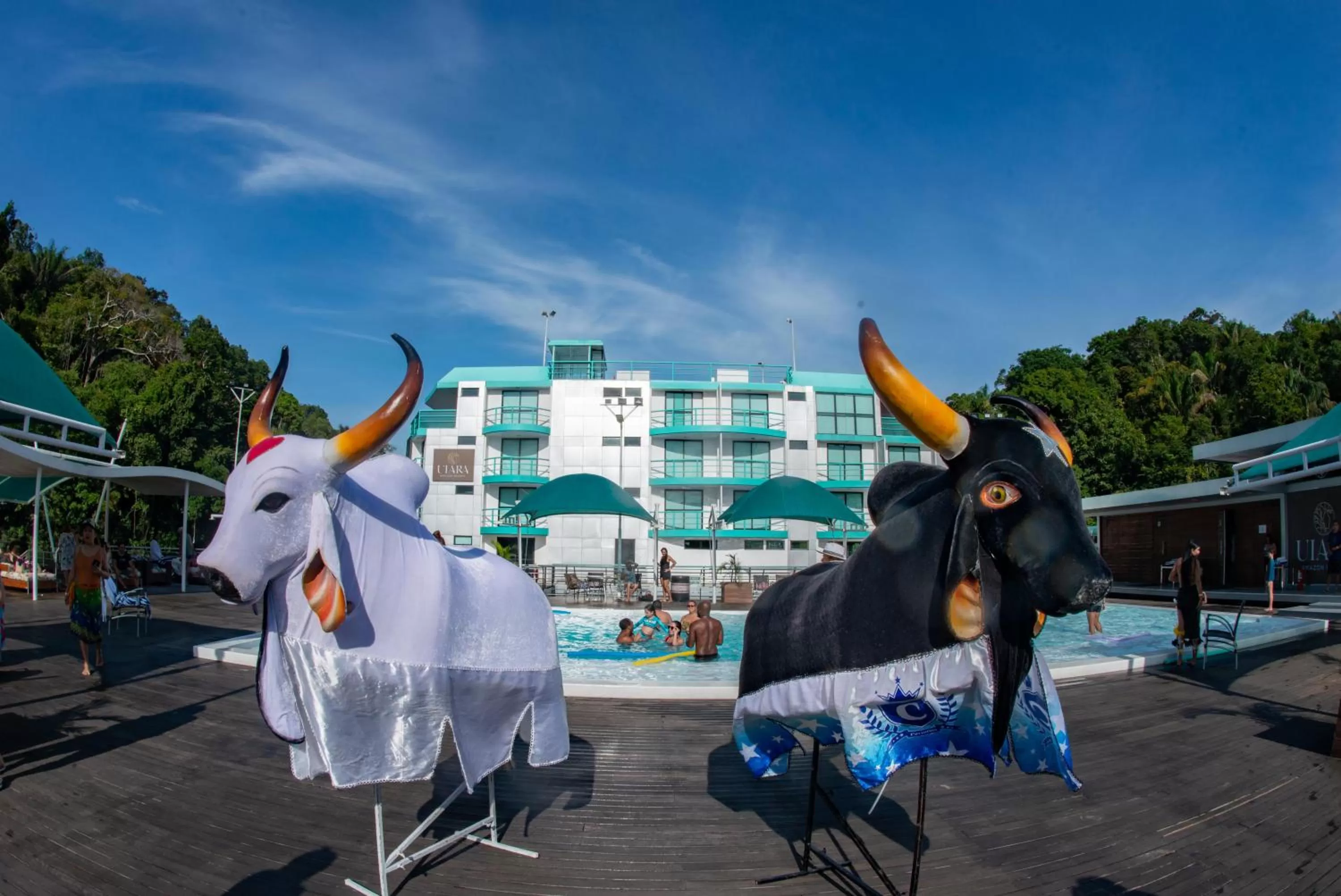 Day, Other Animals in Uiara Amazon Resort