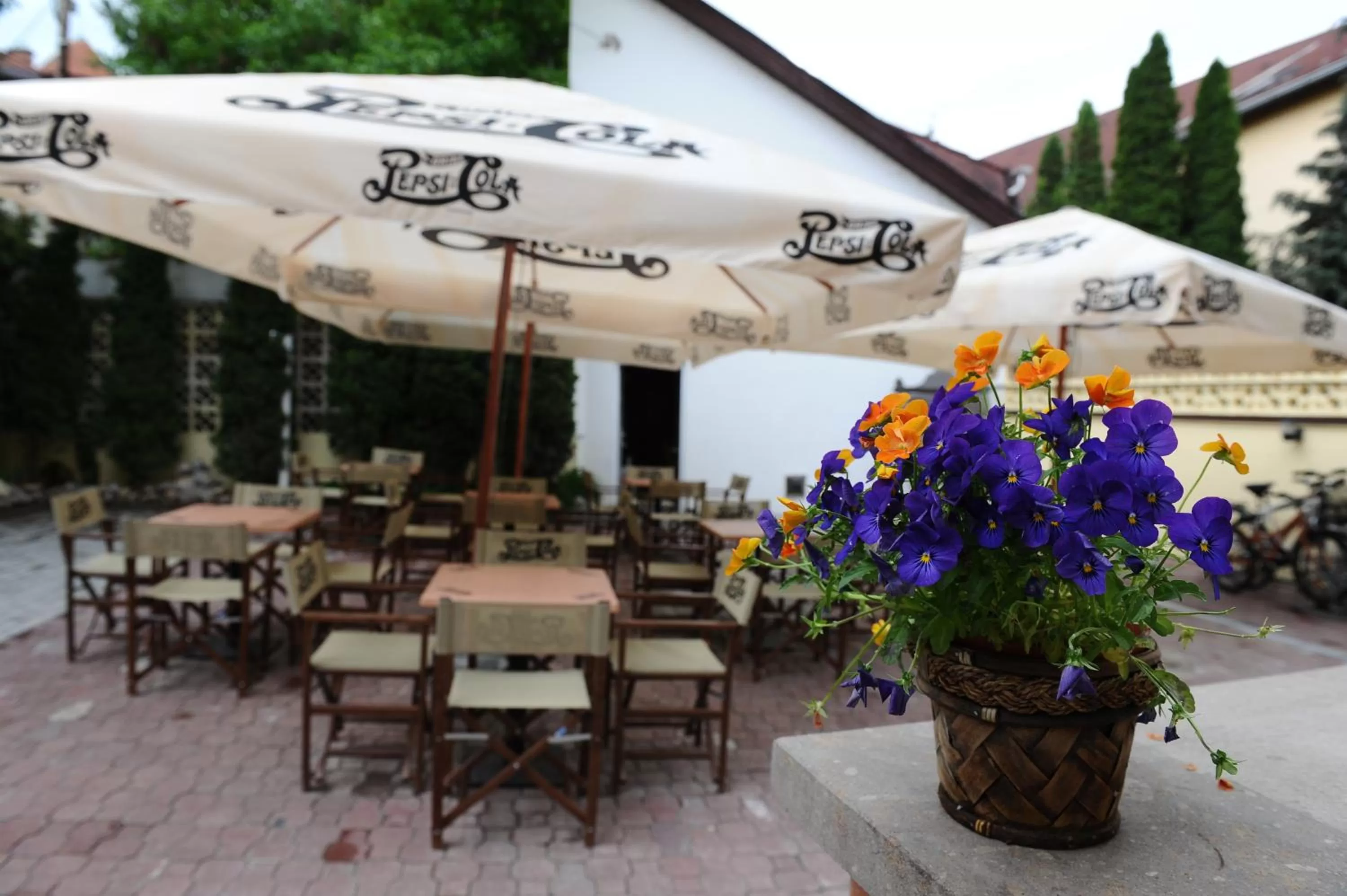 Restaurant/places to eat in Hotel Minaret&Étterem
