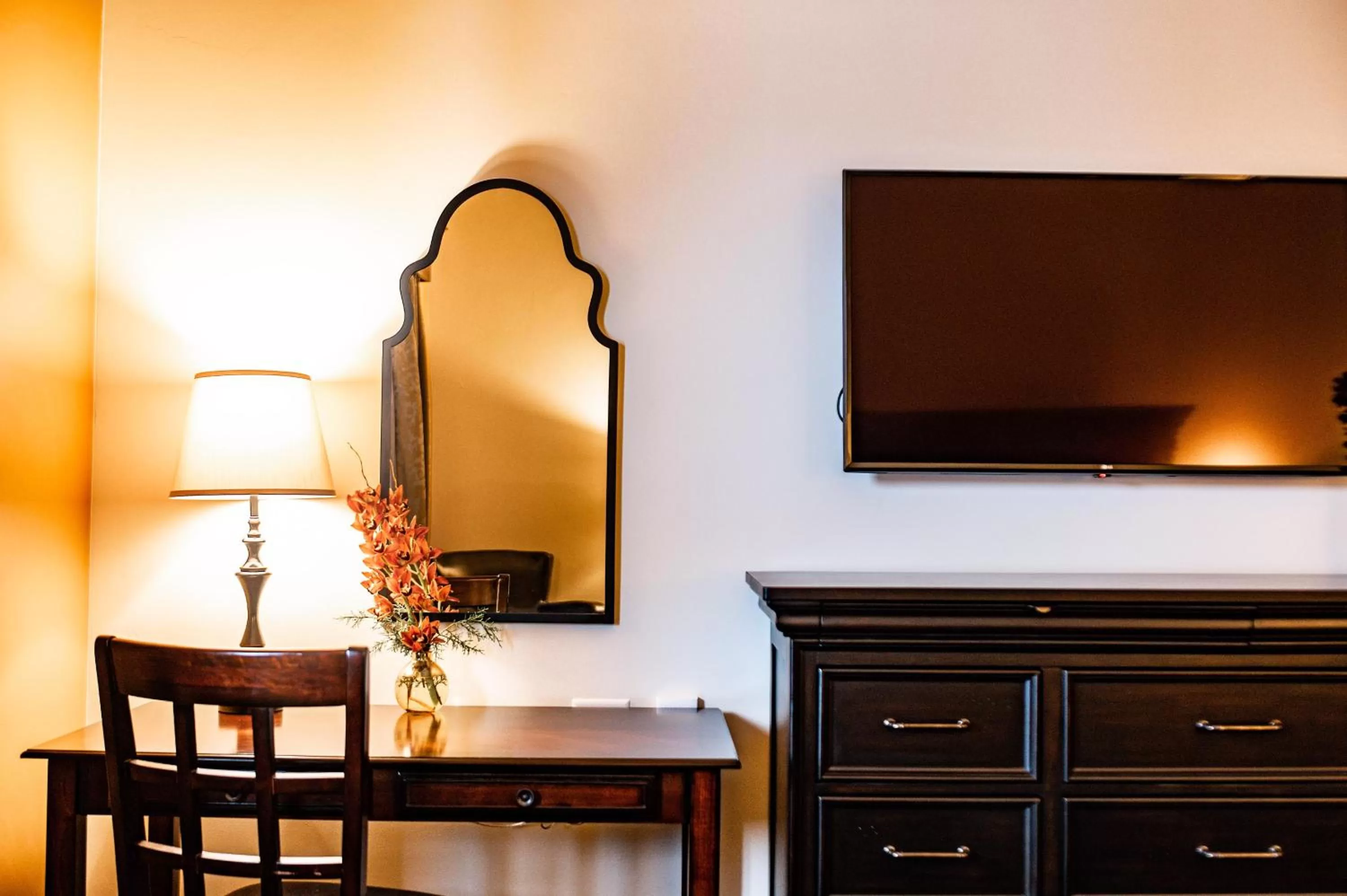 TV and multimedia in Elk Country Inn