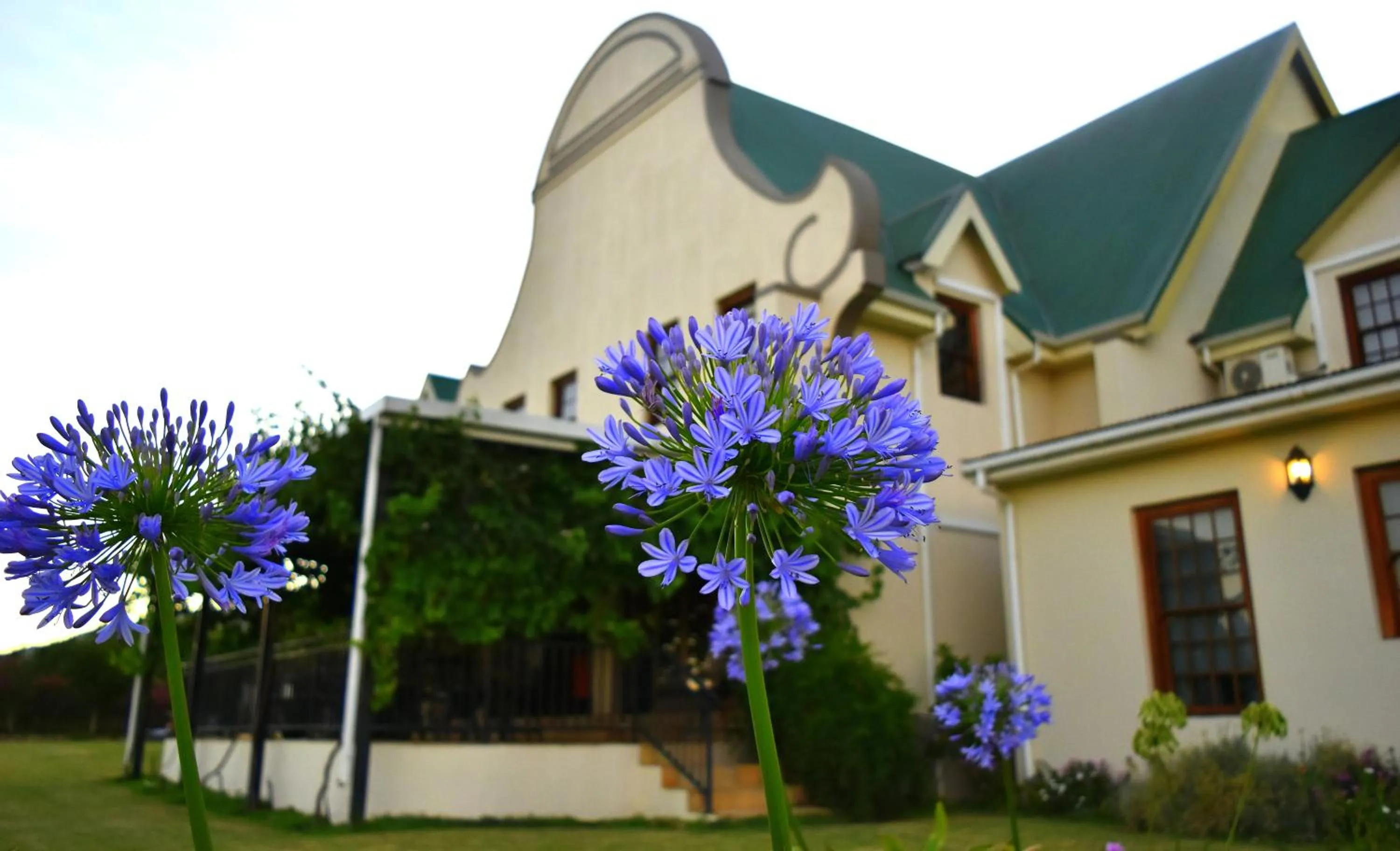 Property building in Cana Vineyard Guesthouse