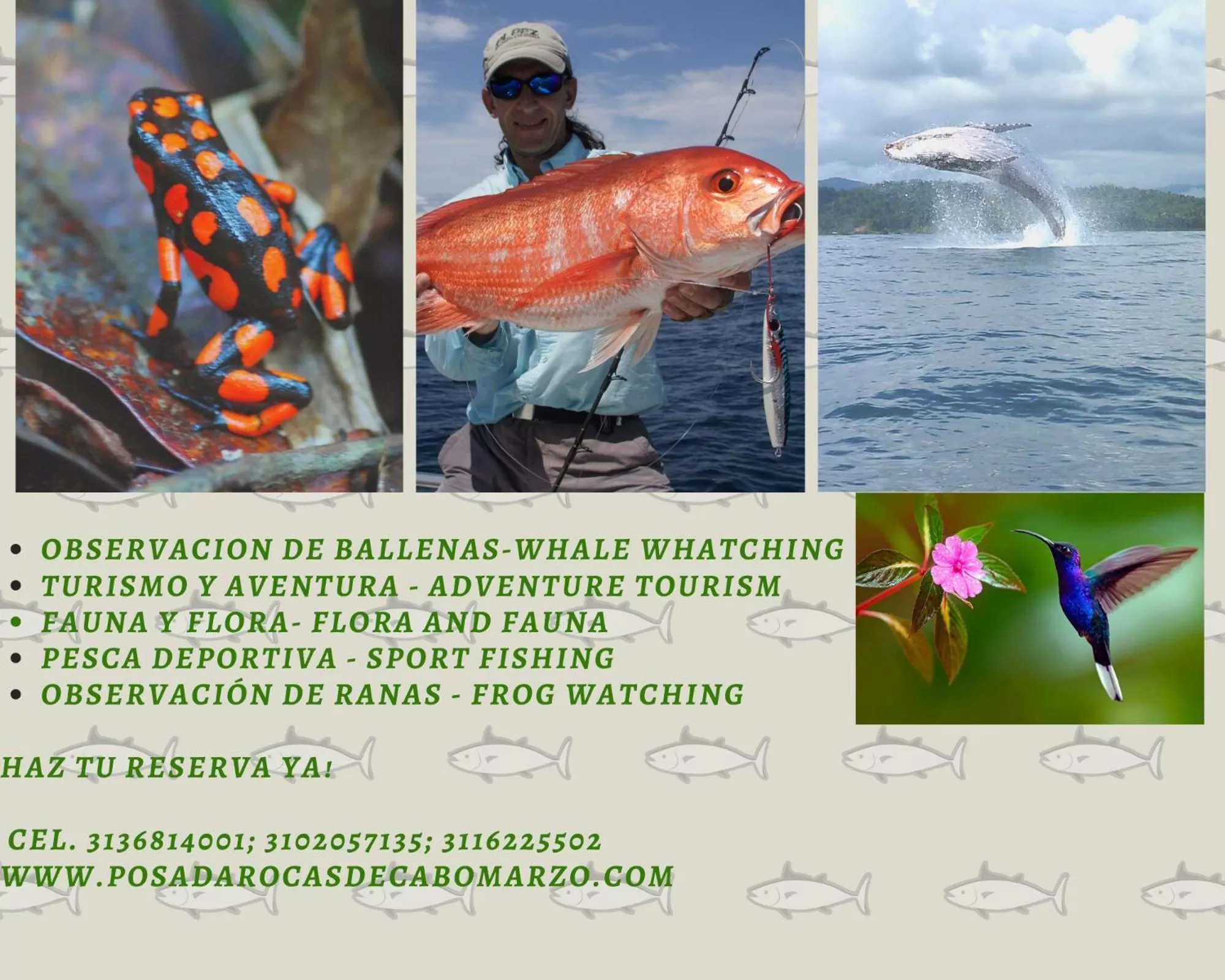 Other Animals in Posada Turística Rocas De Cabo Marzo