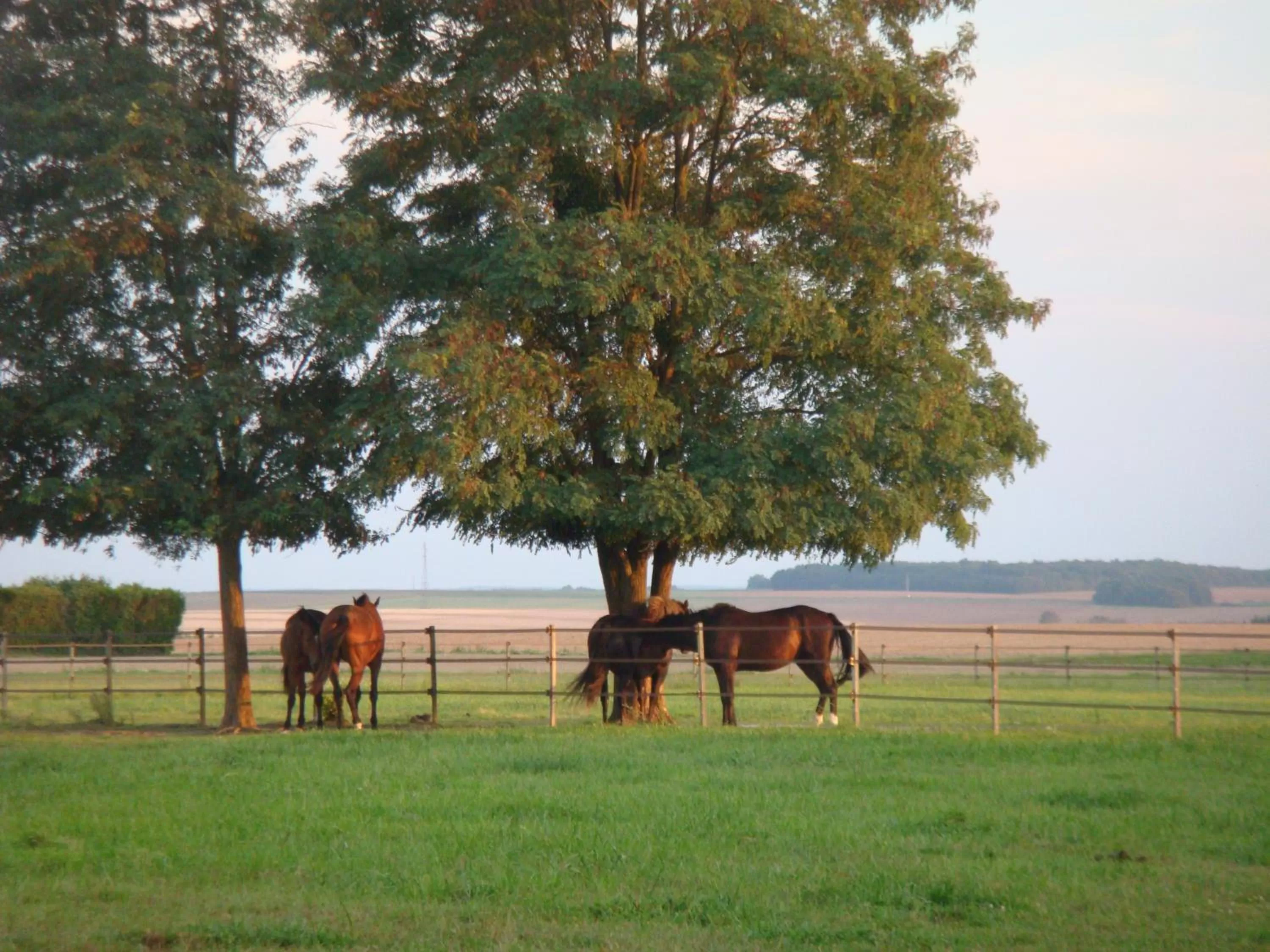 Other in Le Bout Du Monde