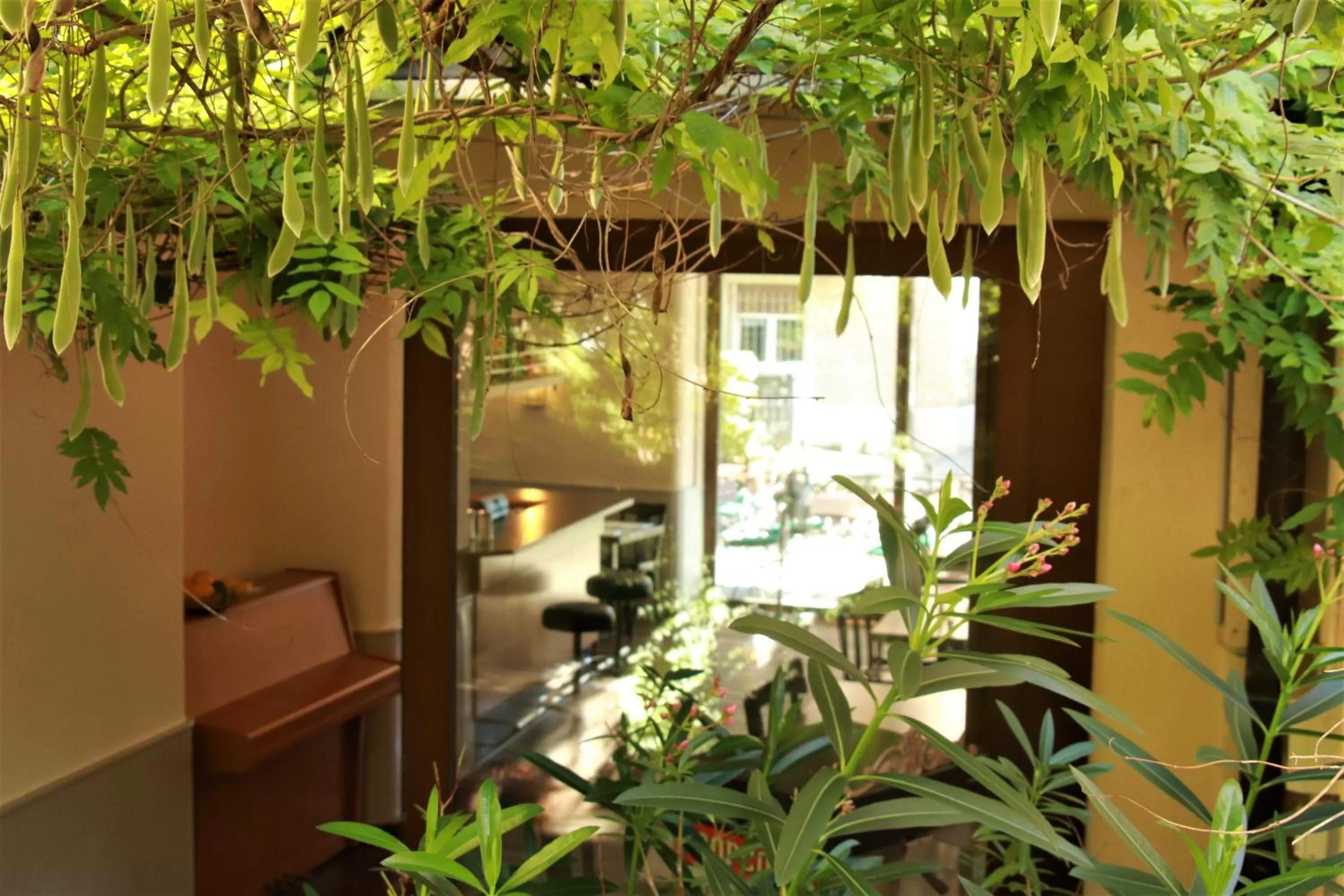 Patio in Hotel Neufeld