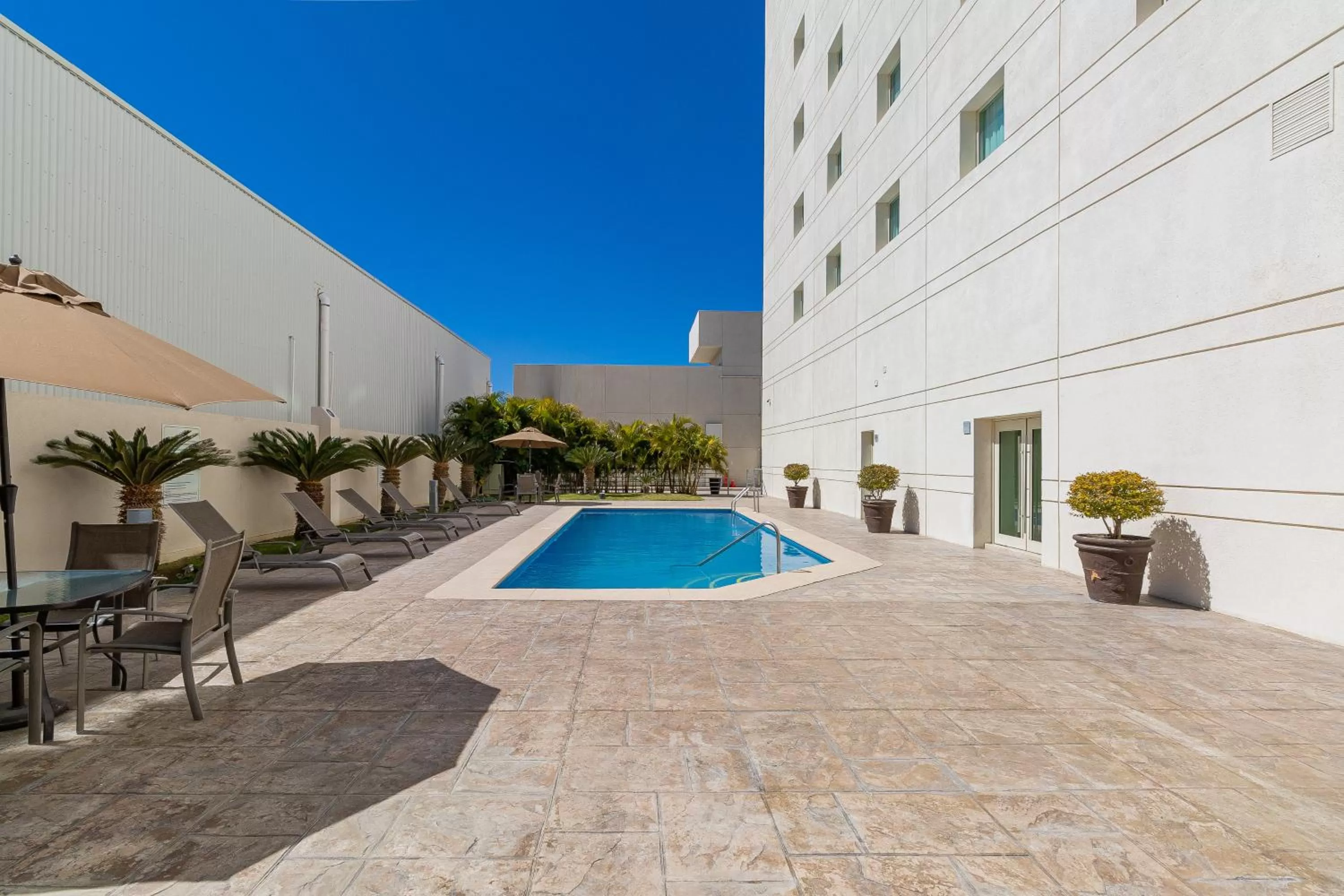 Swimming pool in Hotel Aeropuerto Los Cabos