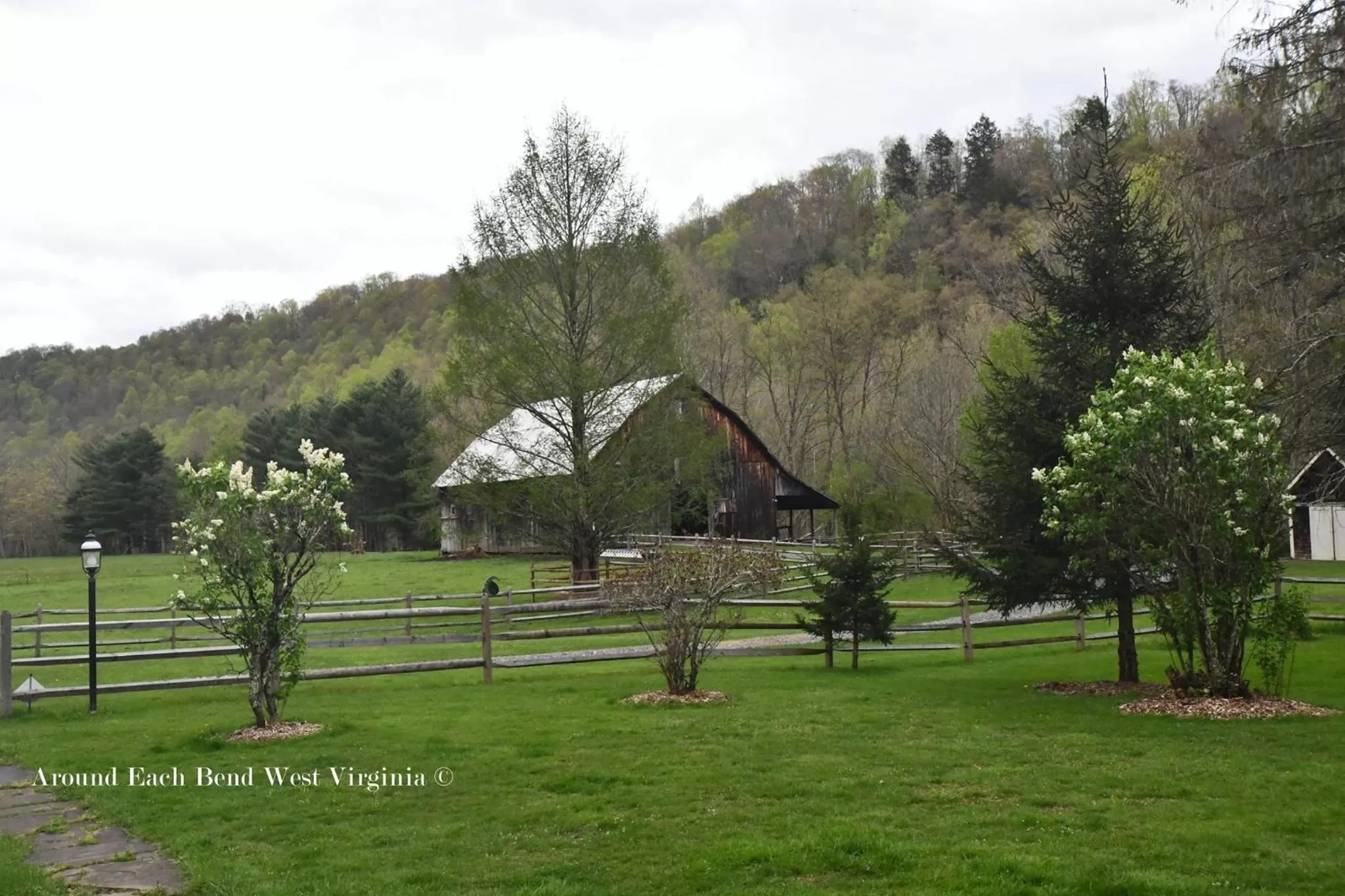 Natural landscape in Laurel River Club Bed & Breakfast or LRCBNB