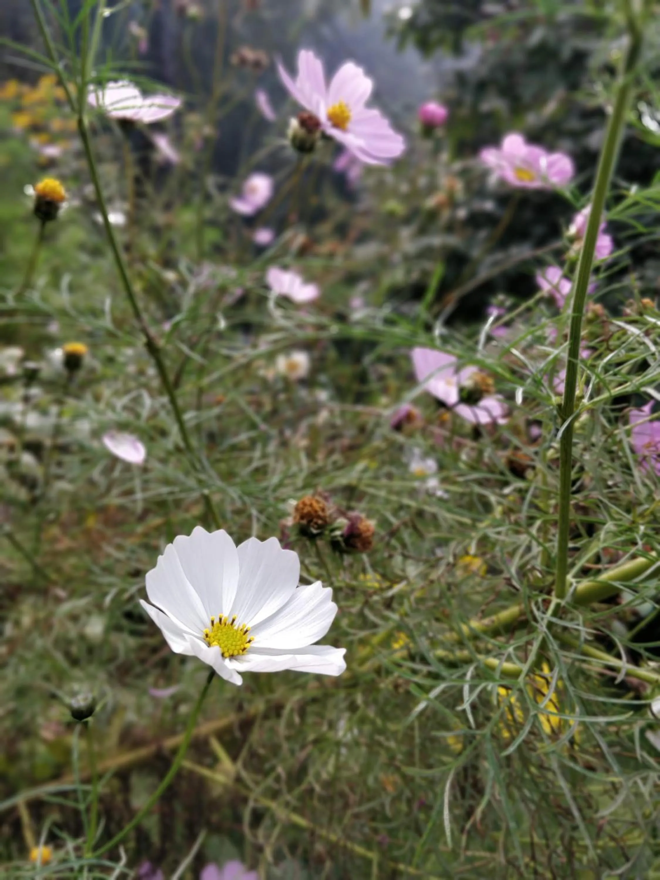 Natural landscape in Hotel SunGrace