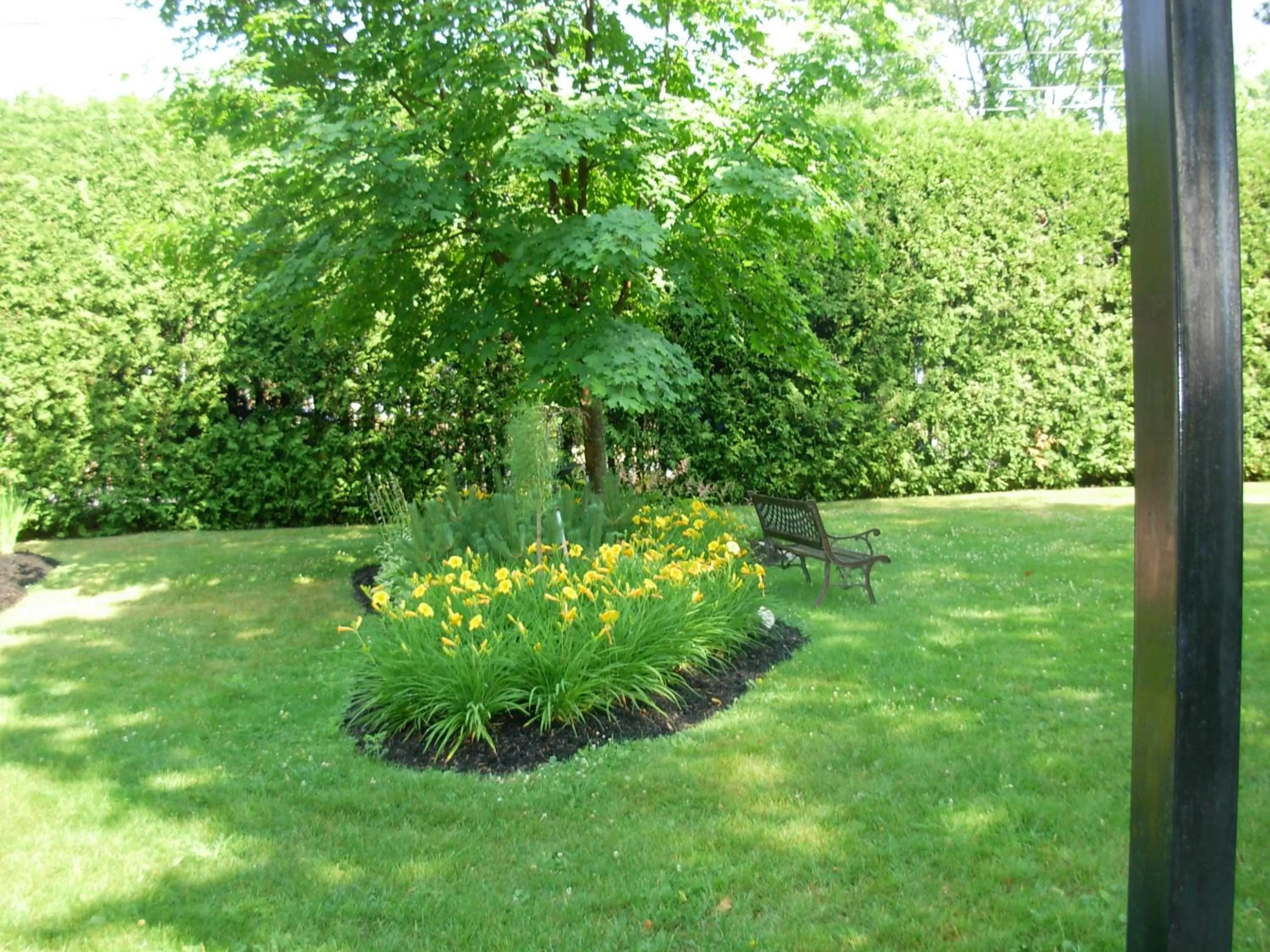 Garden in Chez Truchon Bistro-Auberge