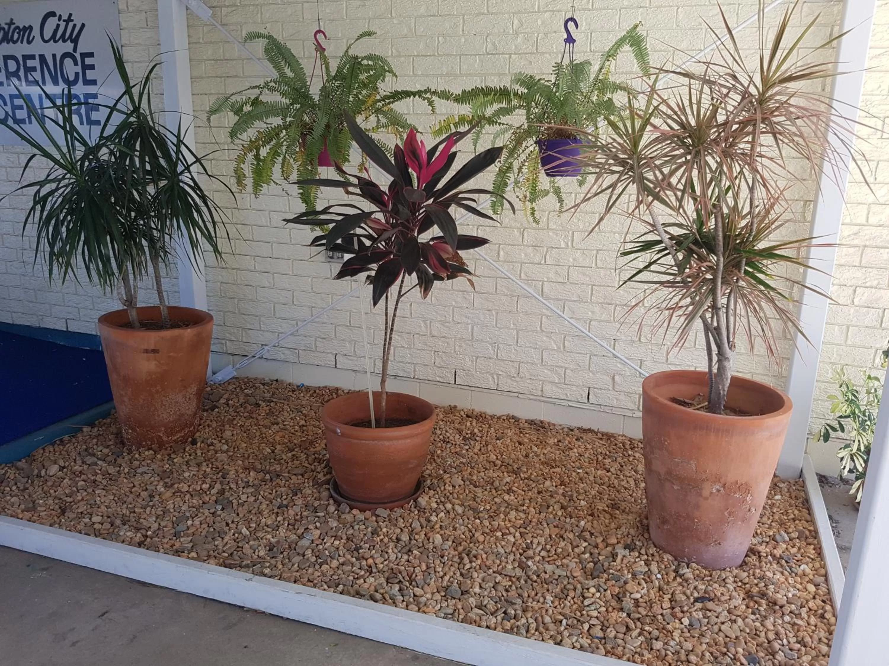 Property building in Fitzroy Motor Inn