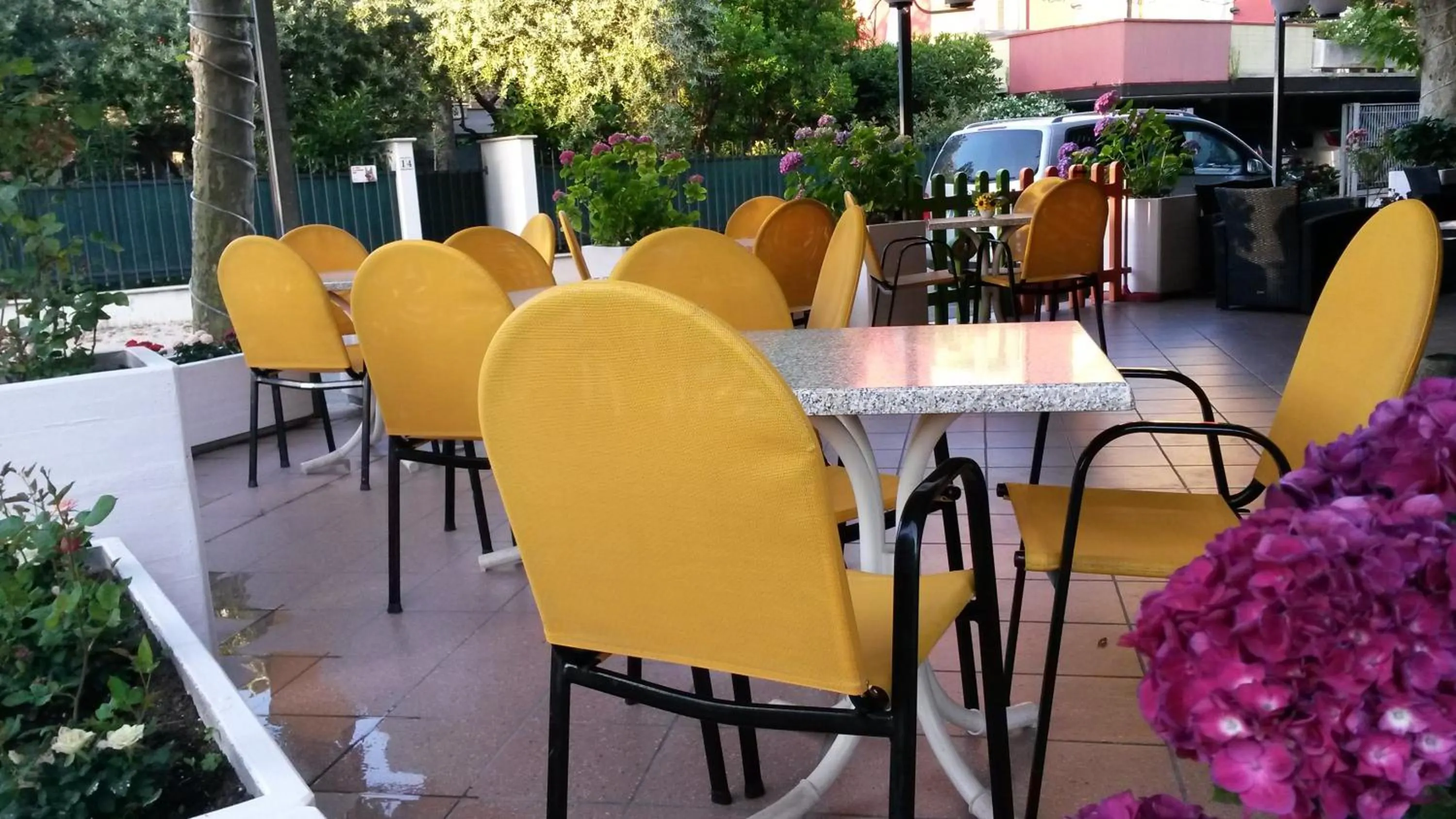 Balcony/Terrace in Hotel Orchidea