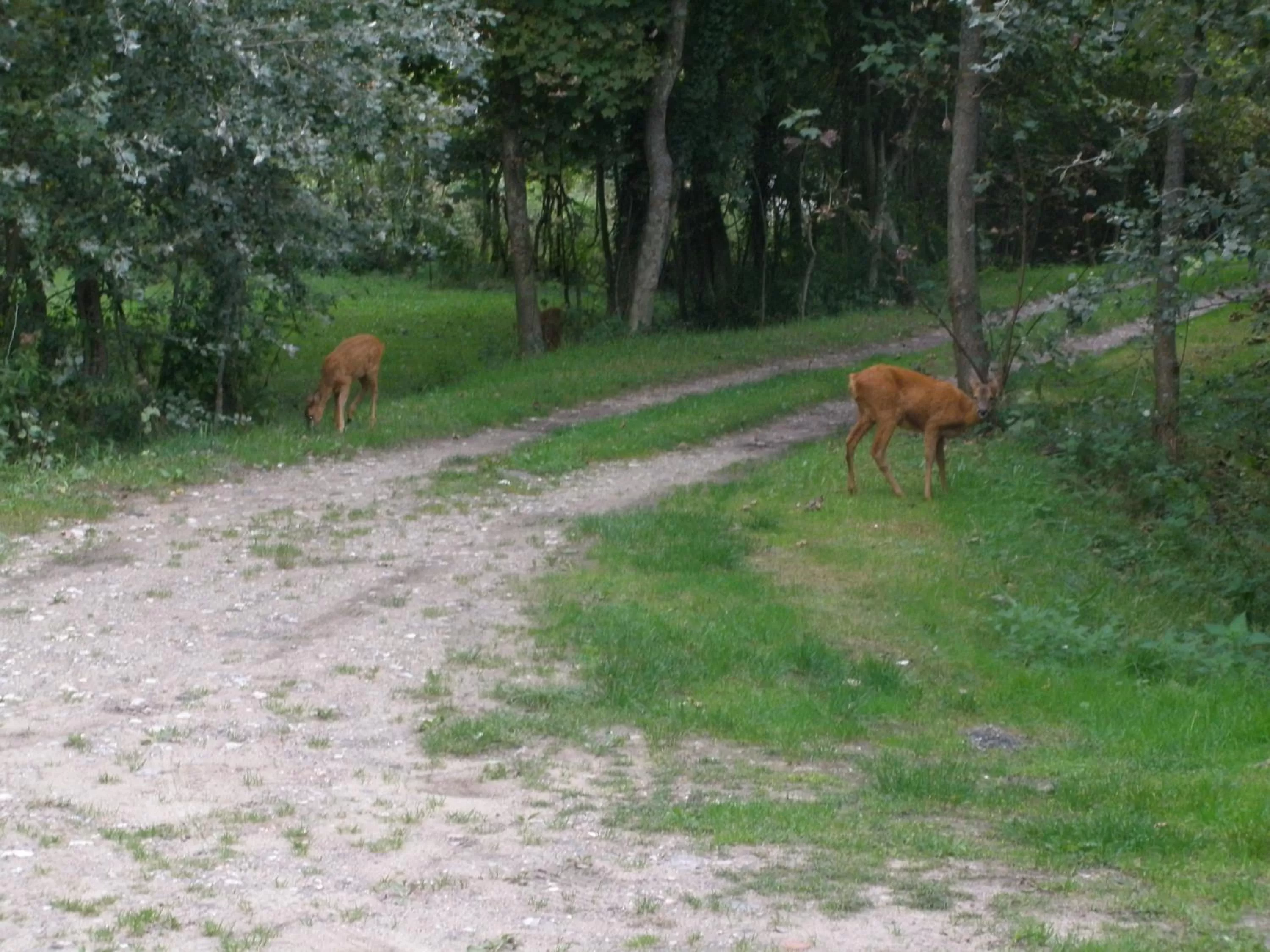 Natural landscape in La Caronnière