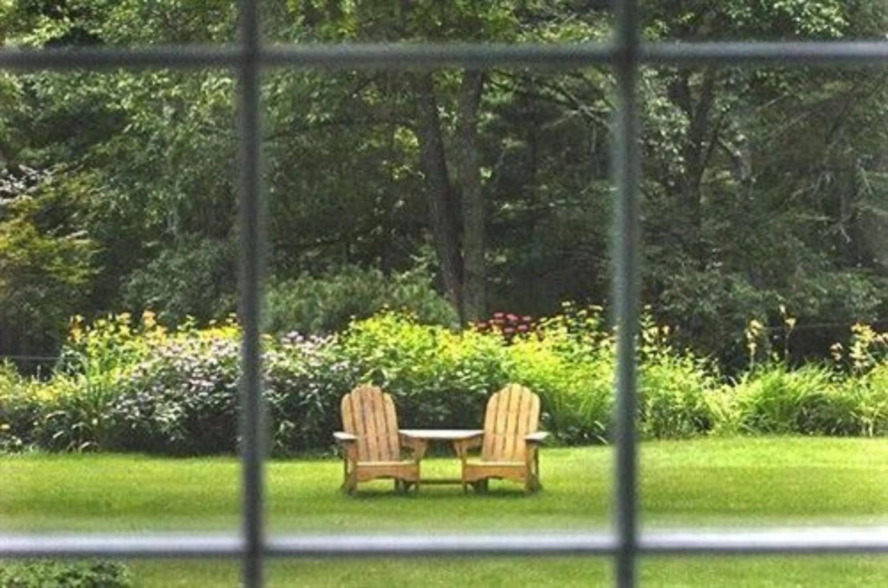 Other in Buttonwood Inn on Mount Surprise