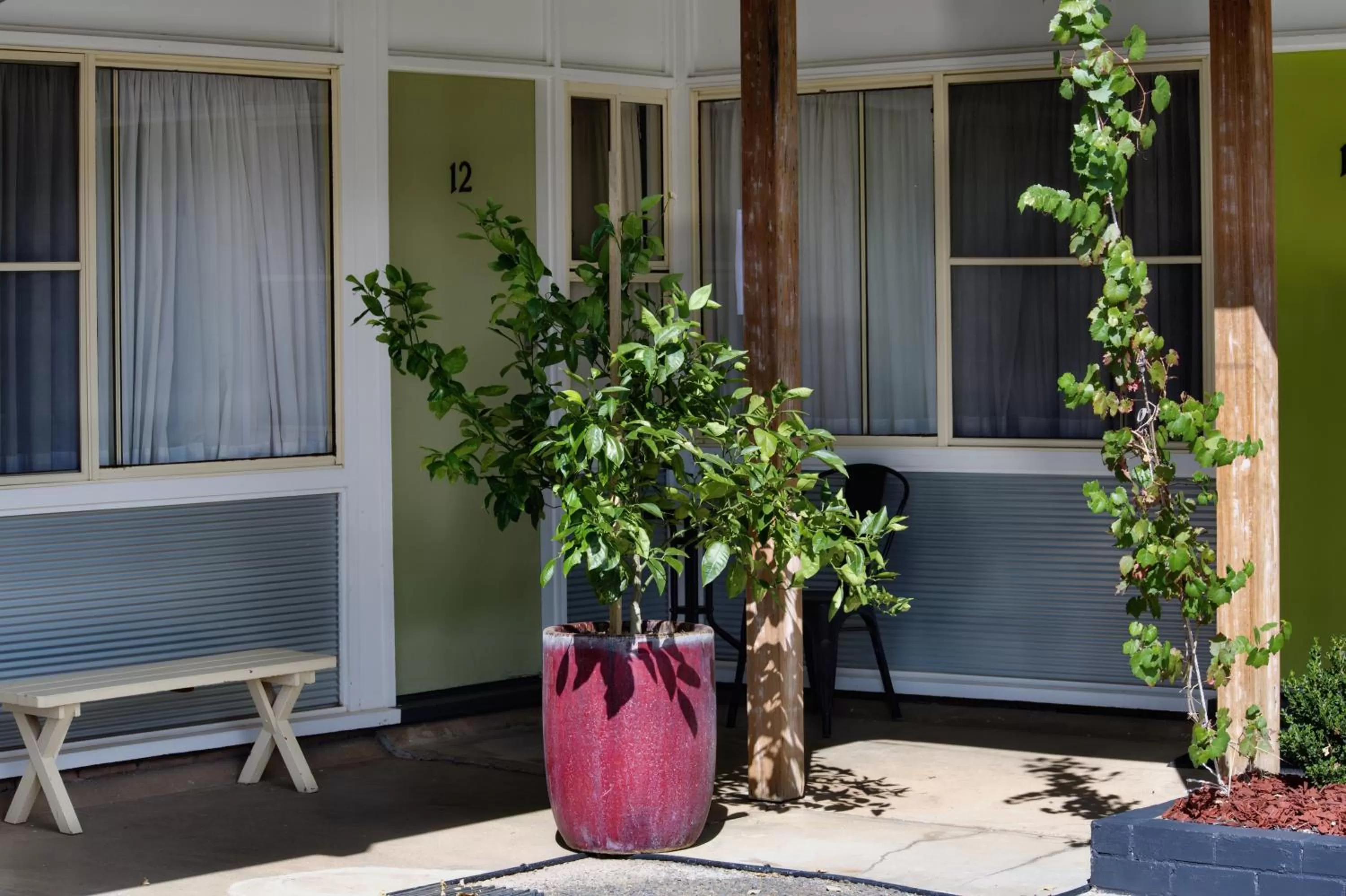 Patio in Memphis Motor Inn- UNDER NEW MANAGEMENT