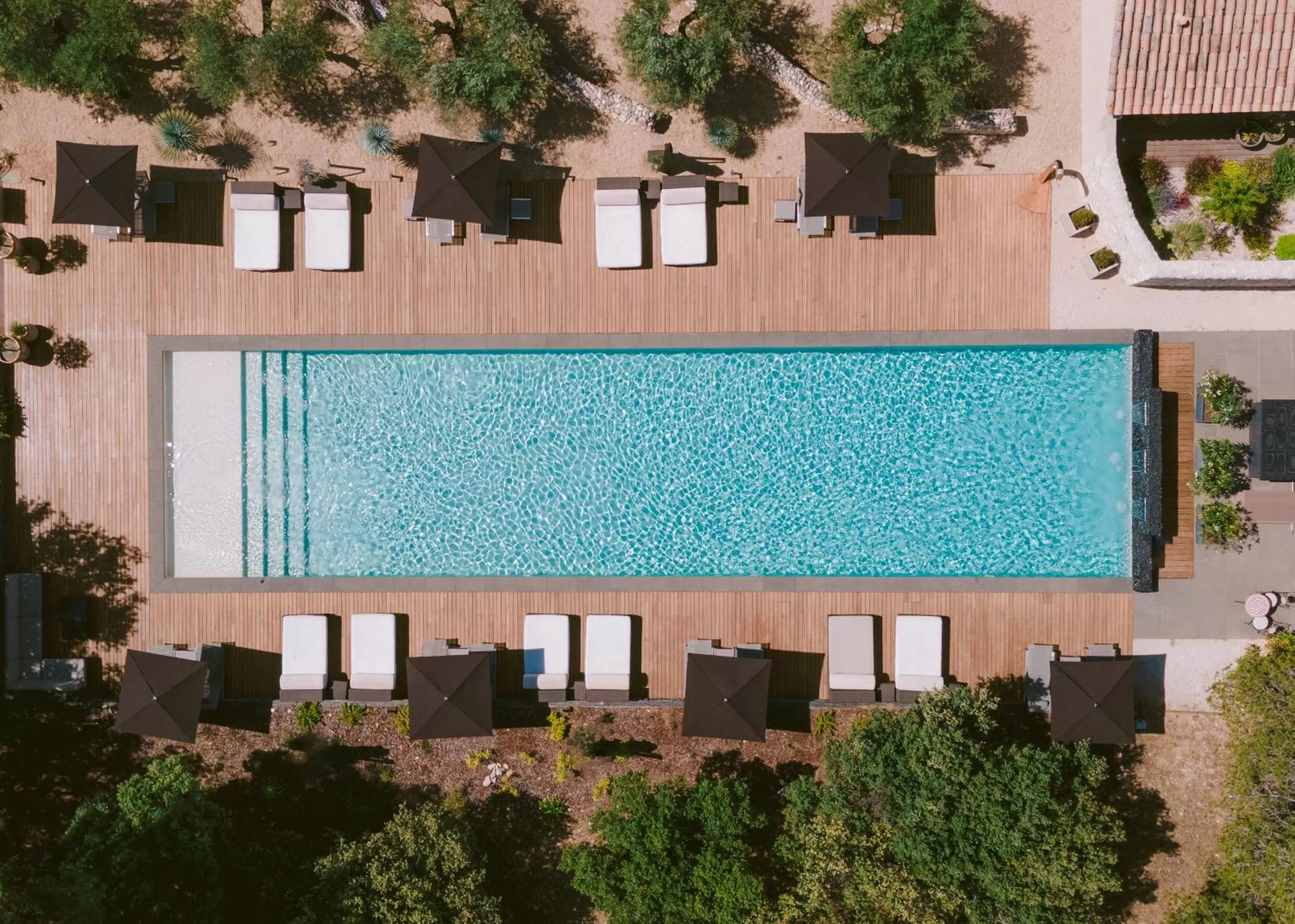 Swimming pool in Domaine la Pierre Blanche