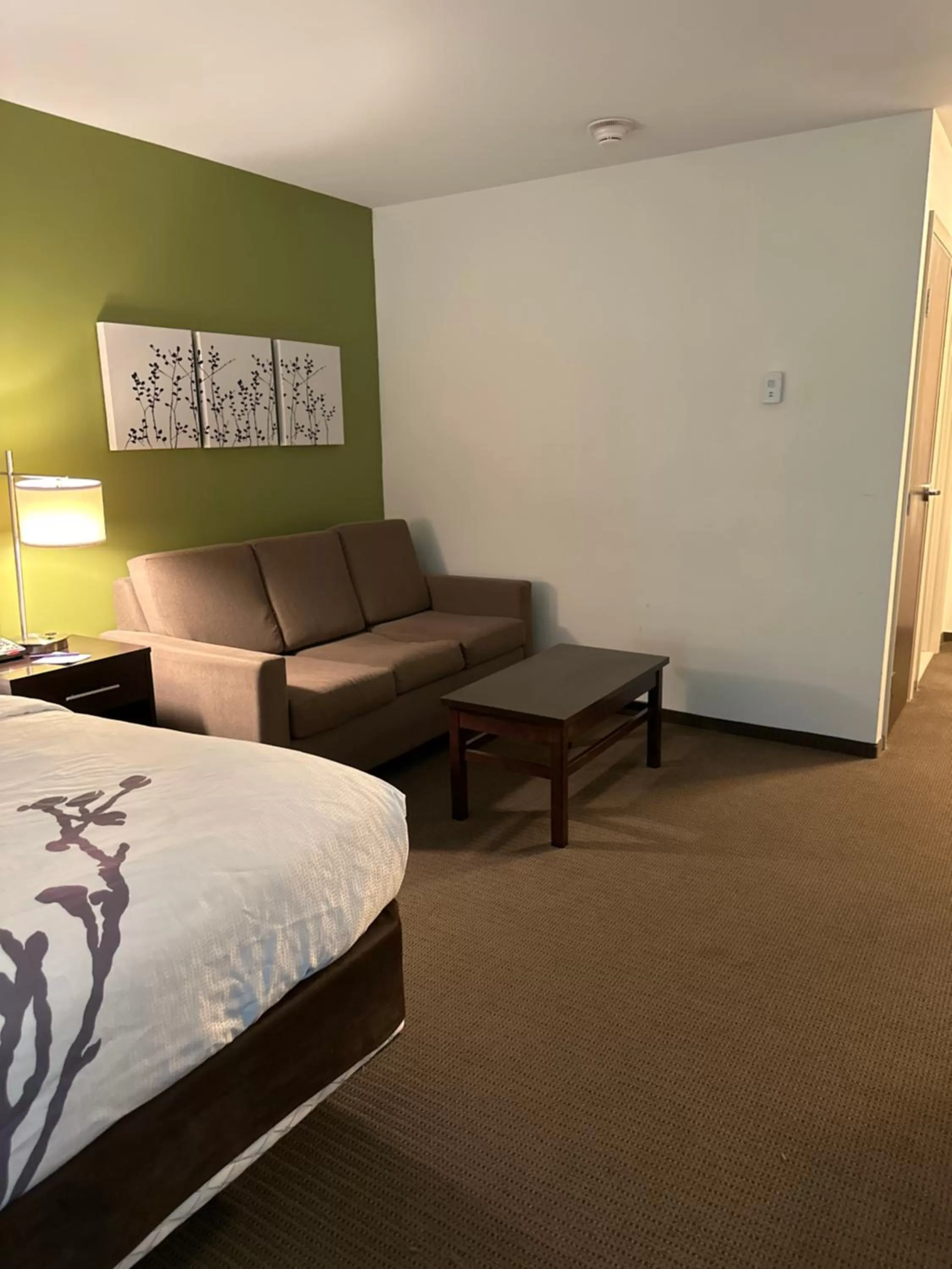 Living room, Bed in Sleep Inn & Suites Gulfport