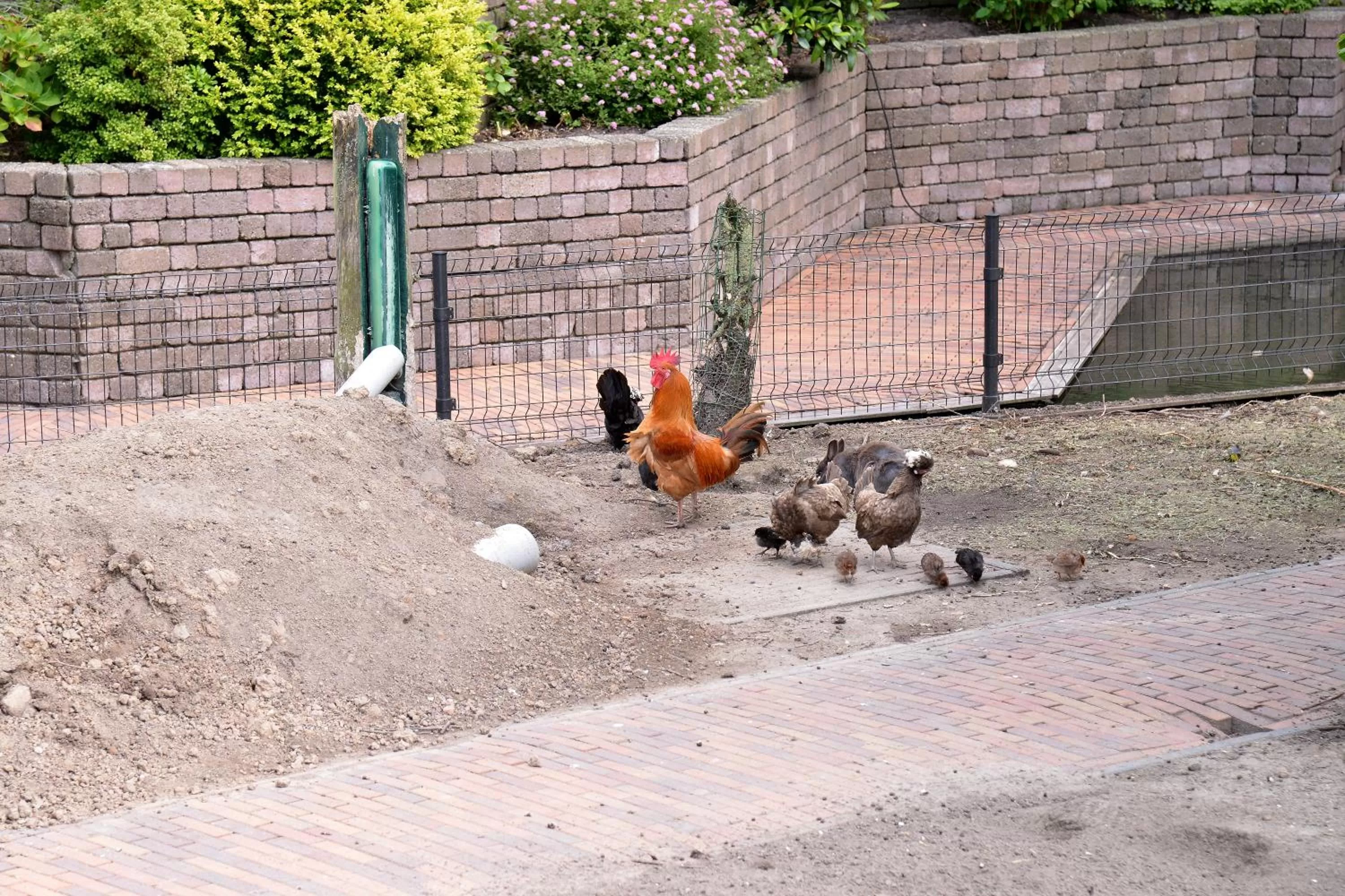 Garden in Guest House Aan de Hollandse IJssel