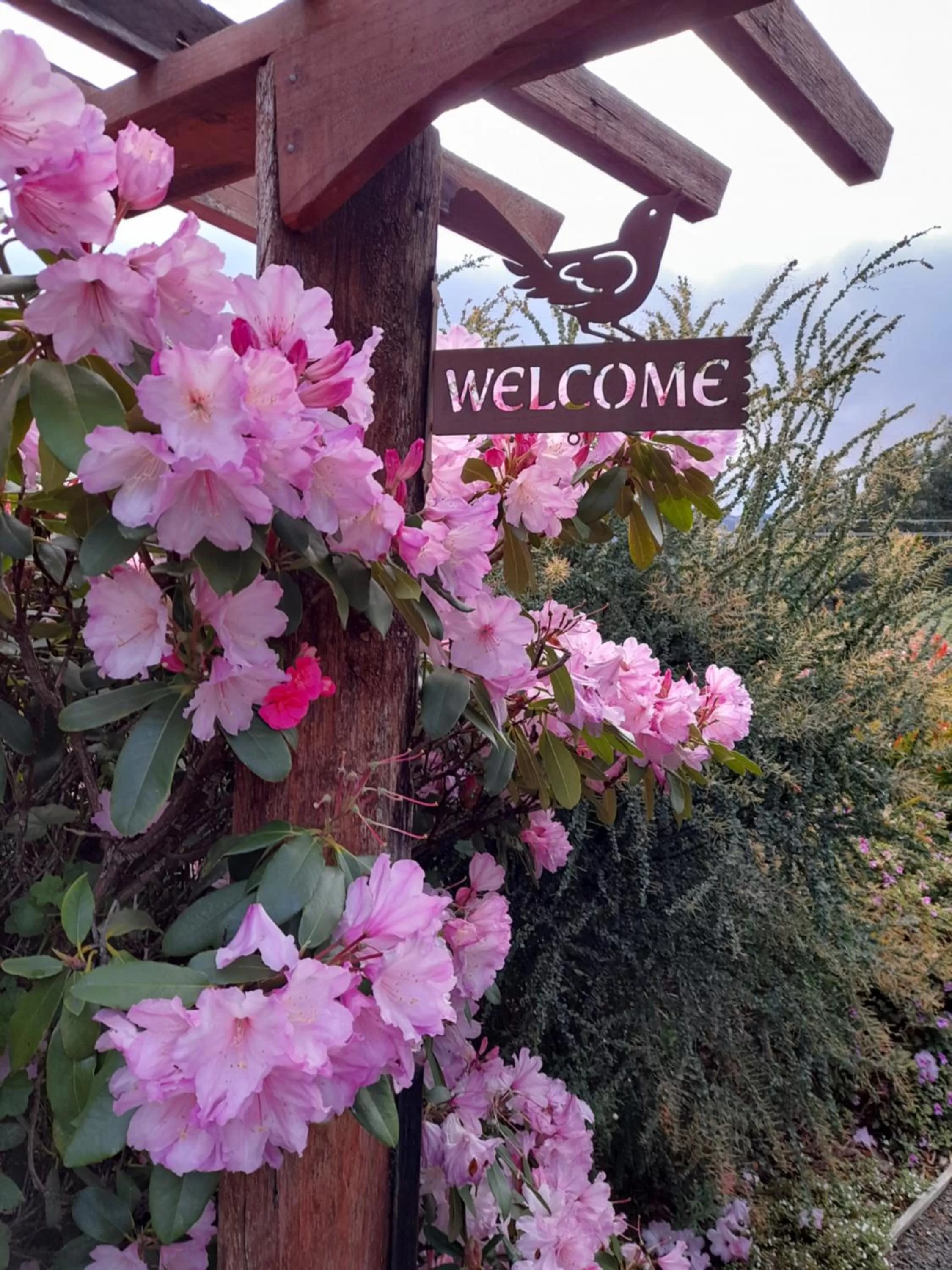 Hillside Bed and Breakfast