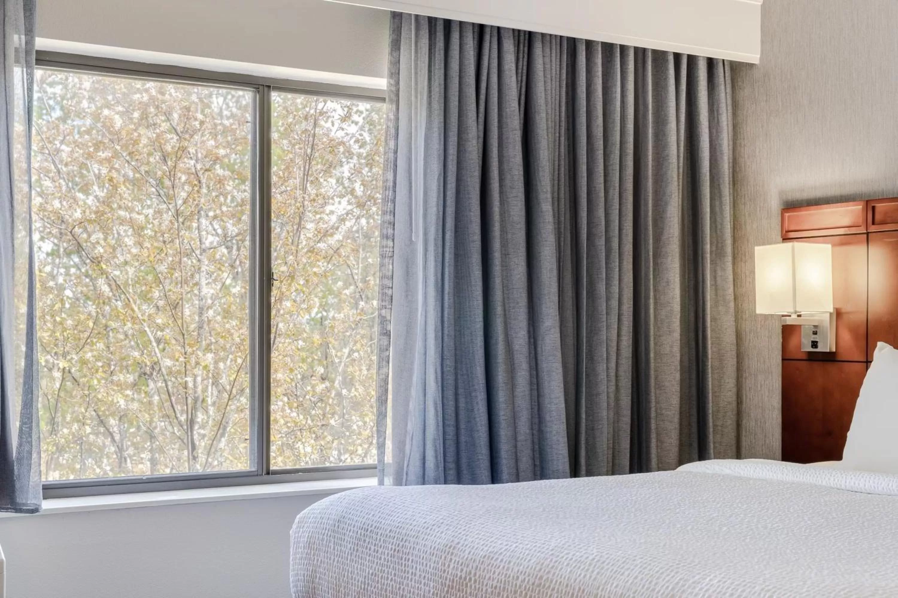 Garden view, Bed in Courtyard Burlington Williston