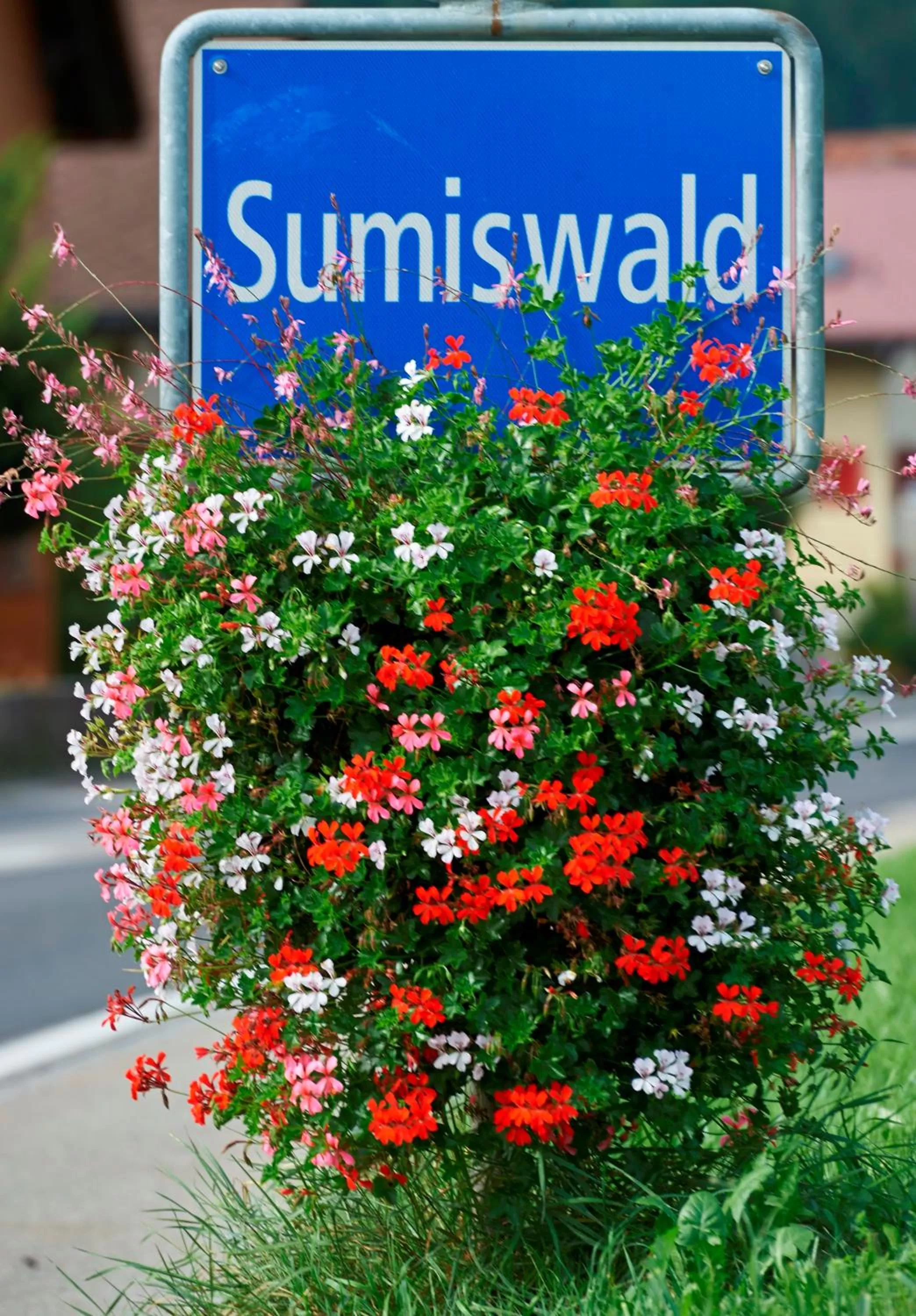 Neighbourhood in BnB SchlafSchloss