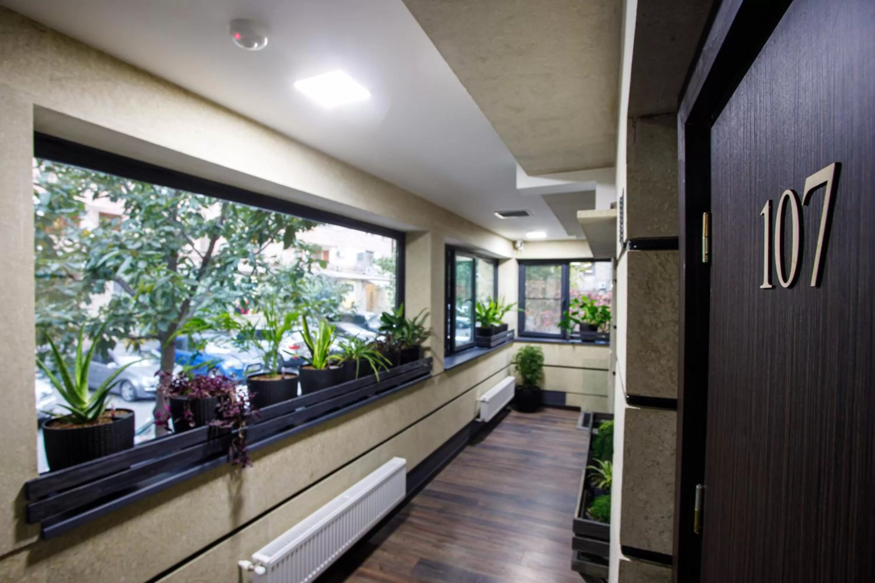 Lobby or reception in The Phoenix Boutique Hotel