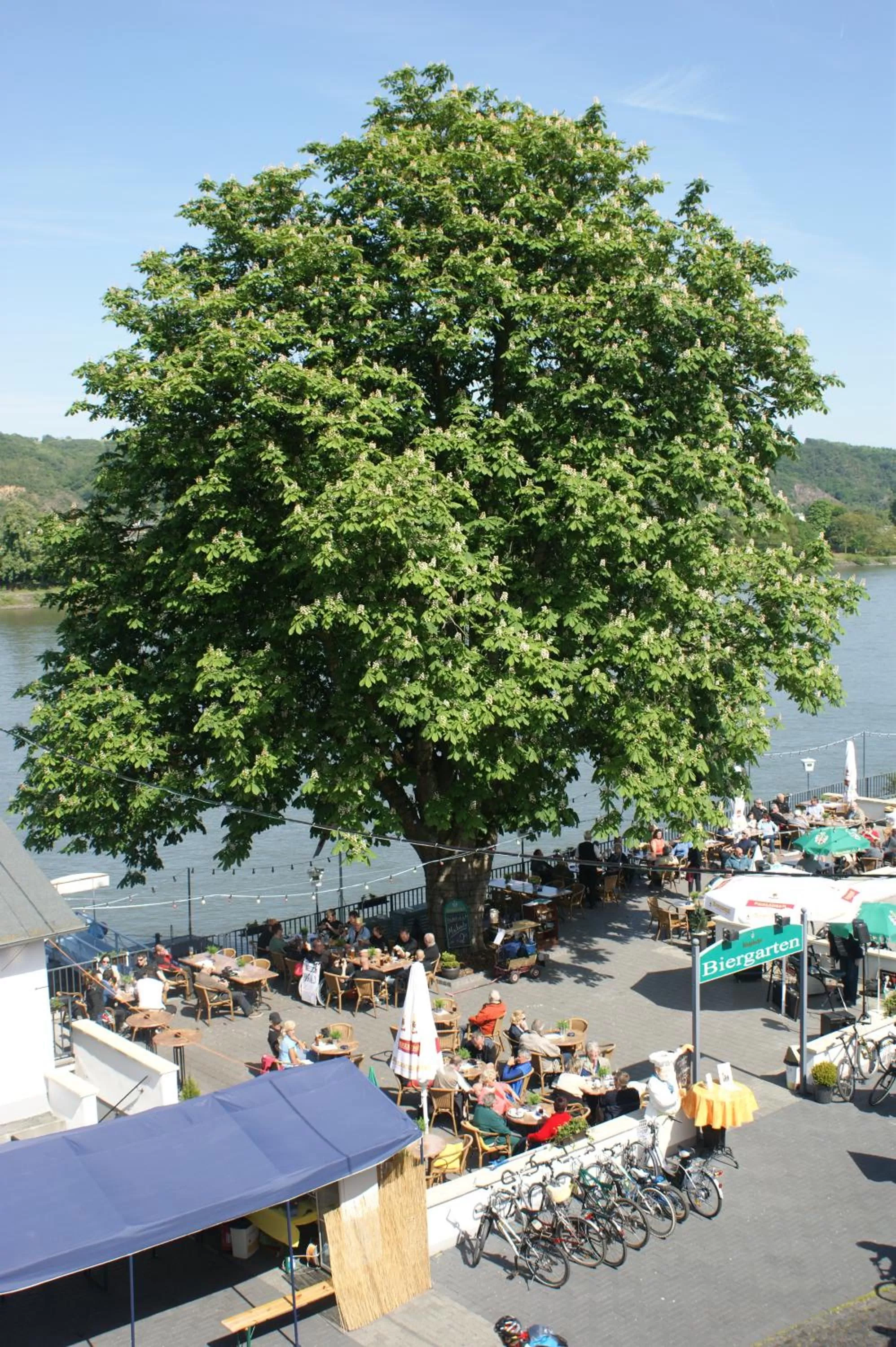 People in Hotel Zur Kripp