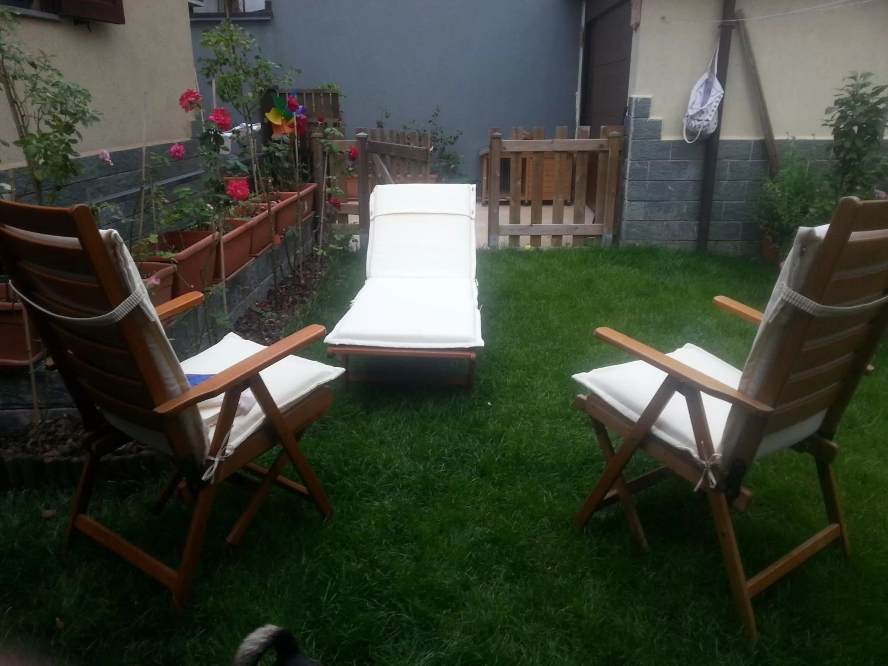 Garden in Monteceneri 9 B&b