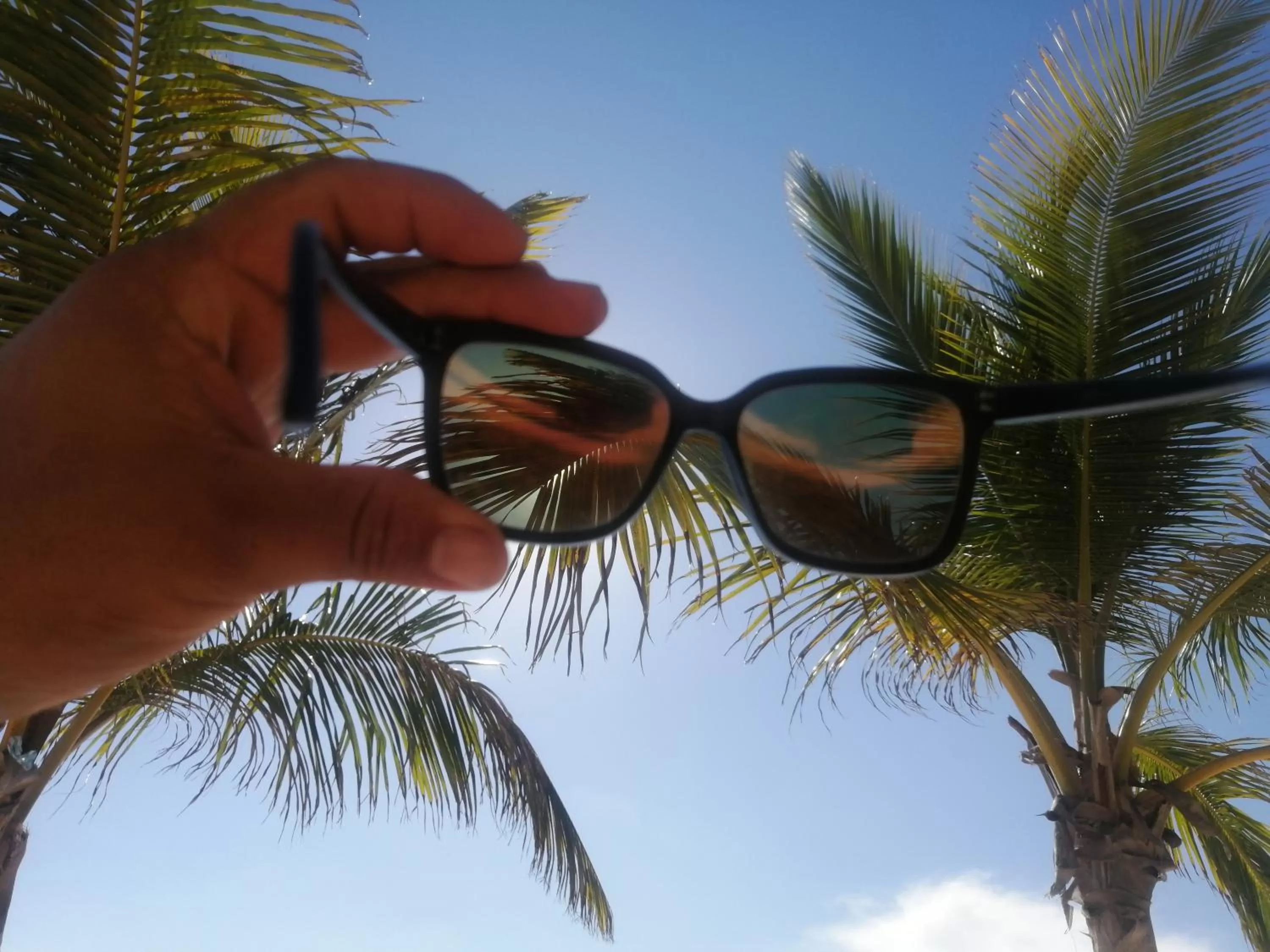 Day in Riviera Punta Cana Eco Travelers