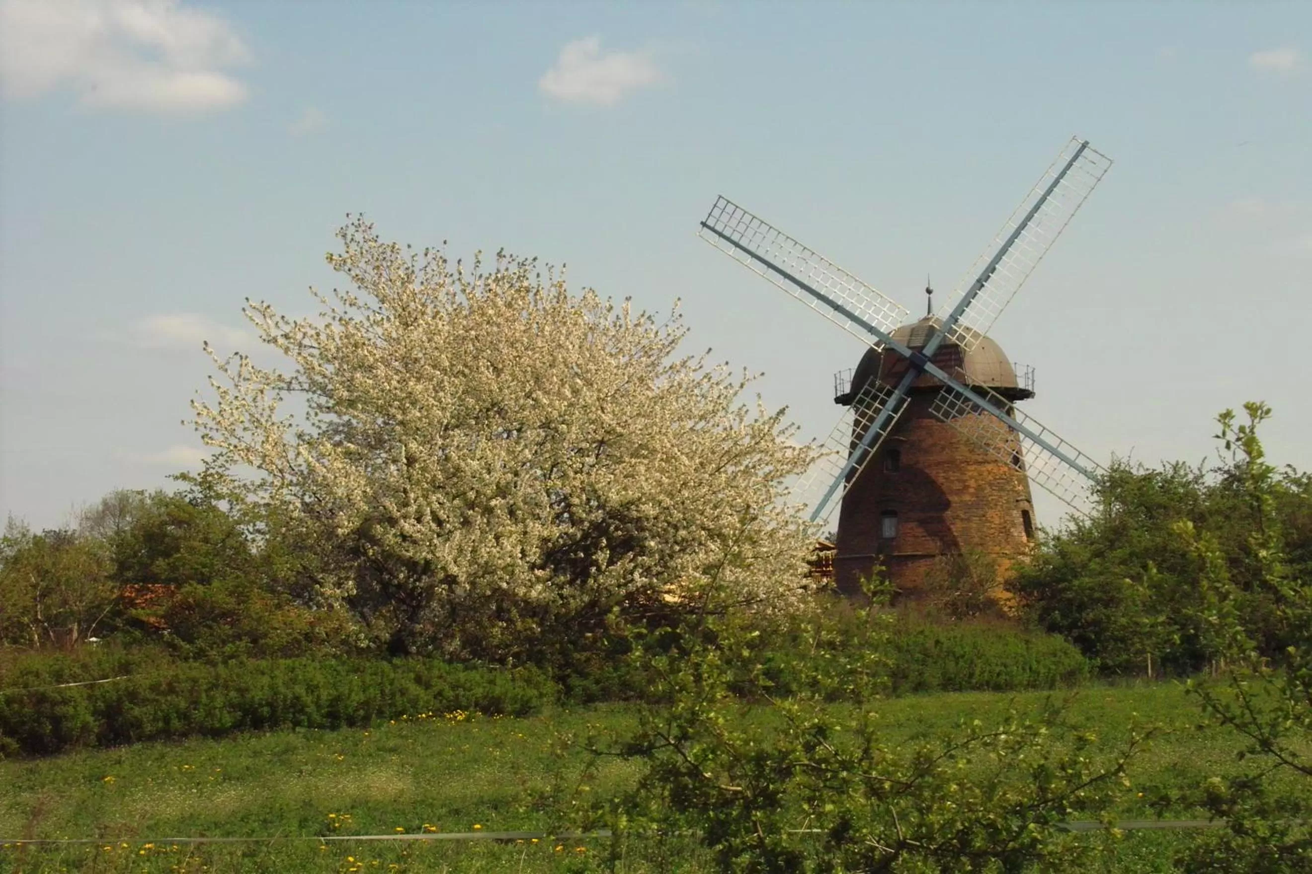 Nearby landmark in Keramik Hotel Rheinsberg