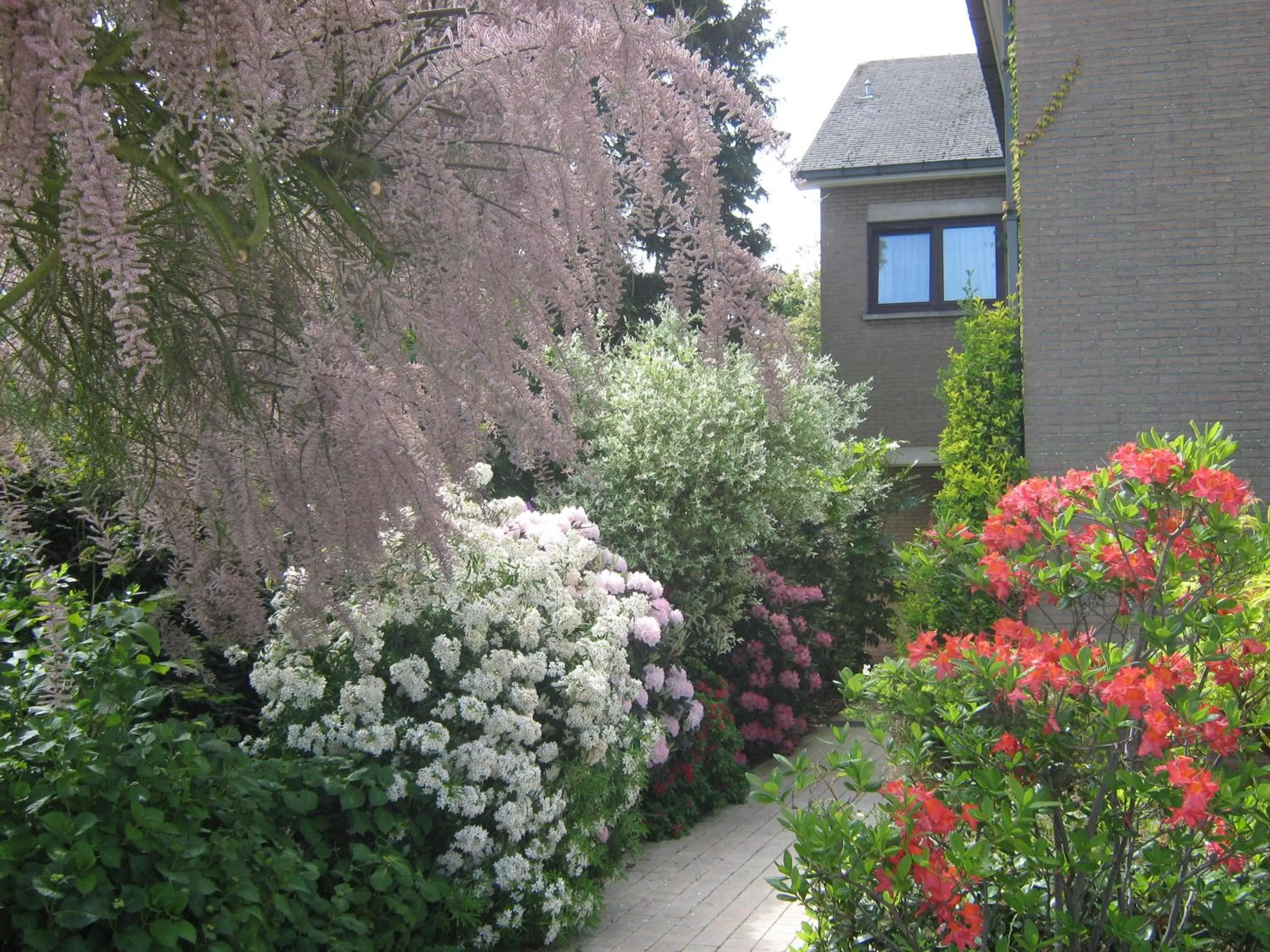 Street view, Property Building in Prince d'Orange Bed & Breakfast