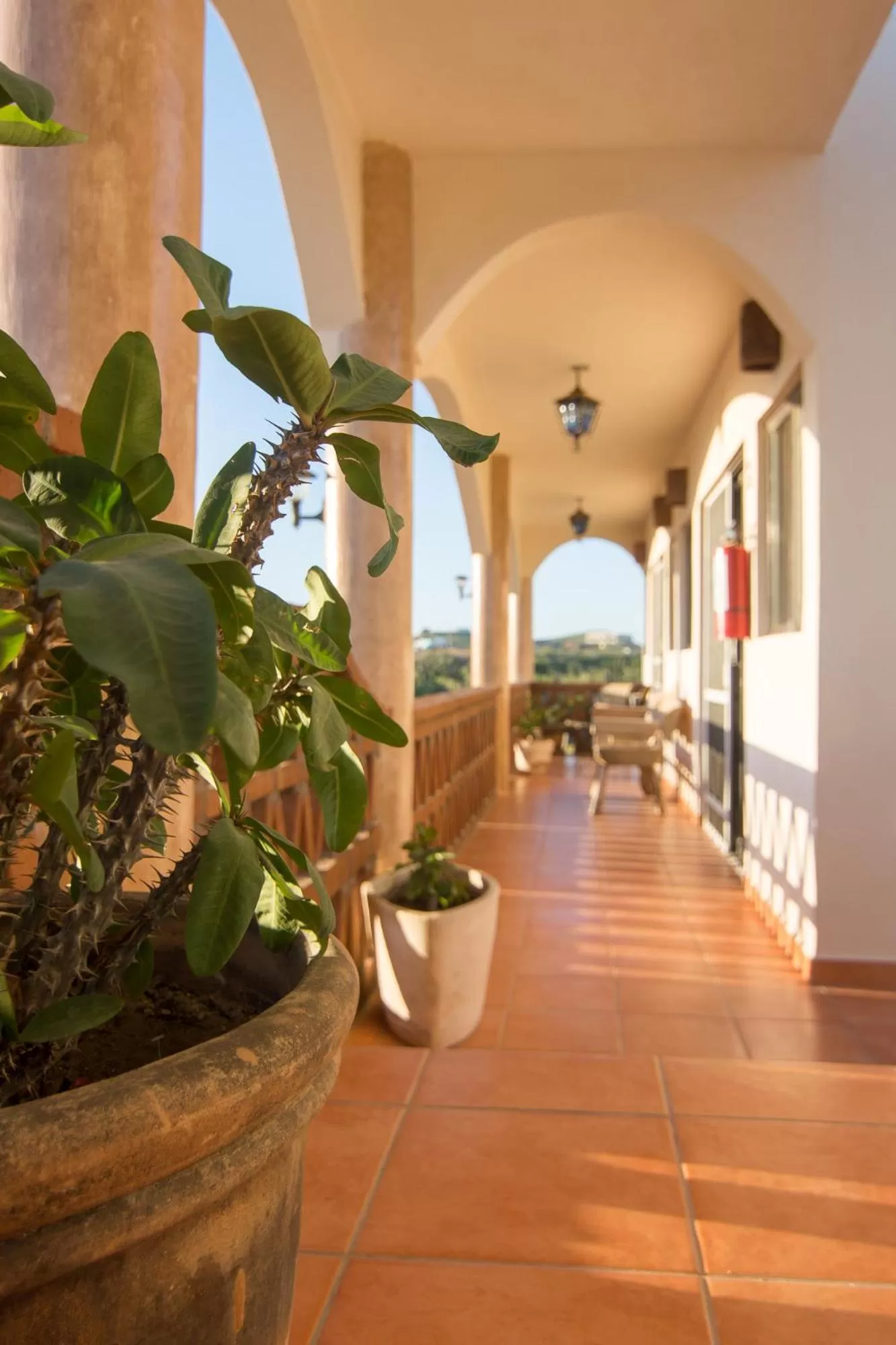 Lobby/Reception in Olas de Cerritos