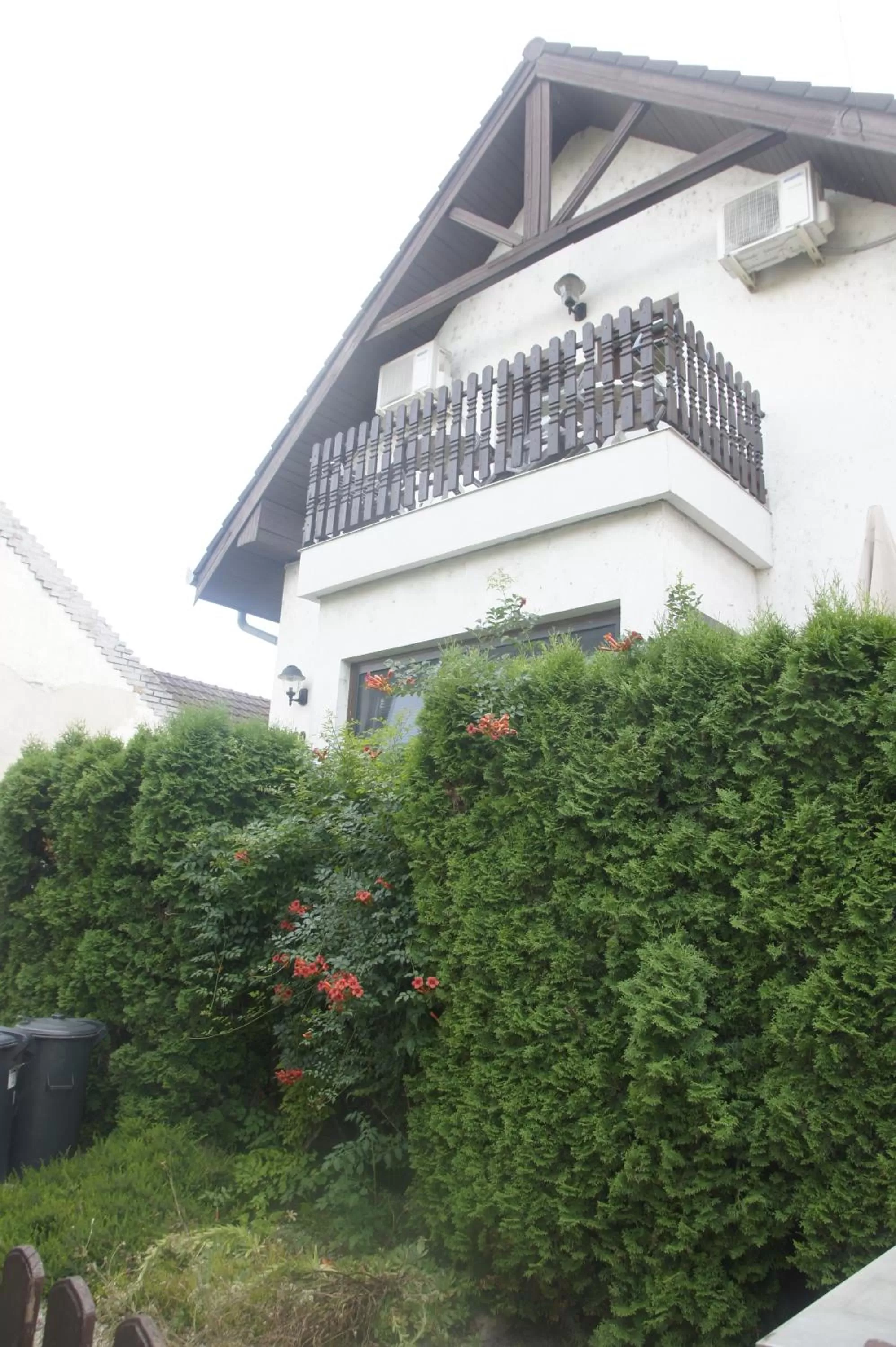 Property Building in Szuzanna Fenyves Panzió