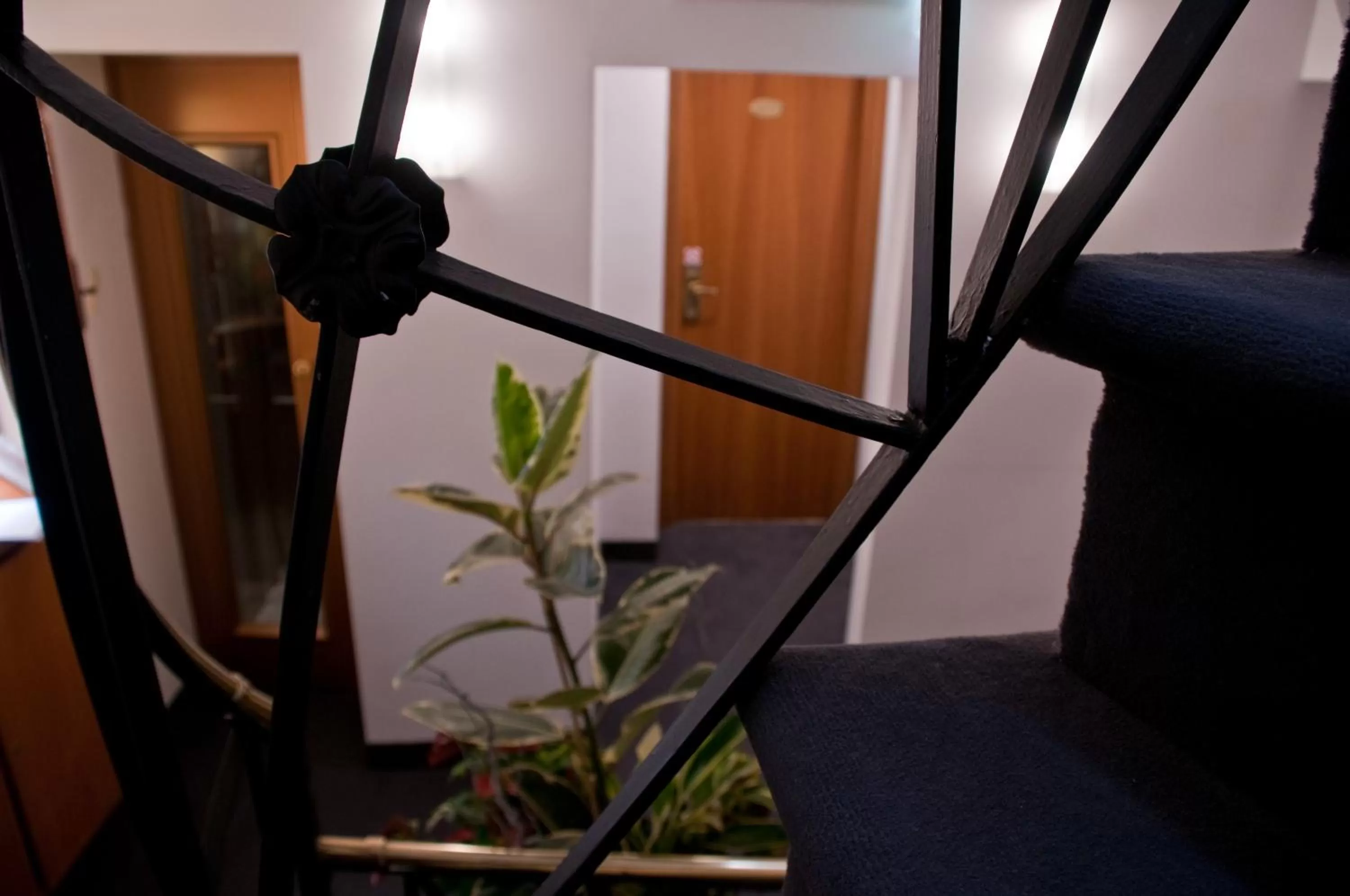 Decorative detail in Hotel Concordia