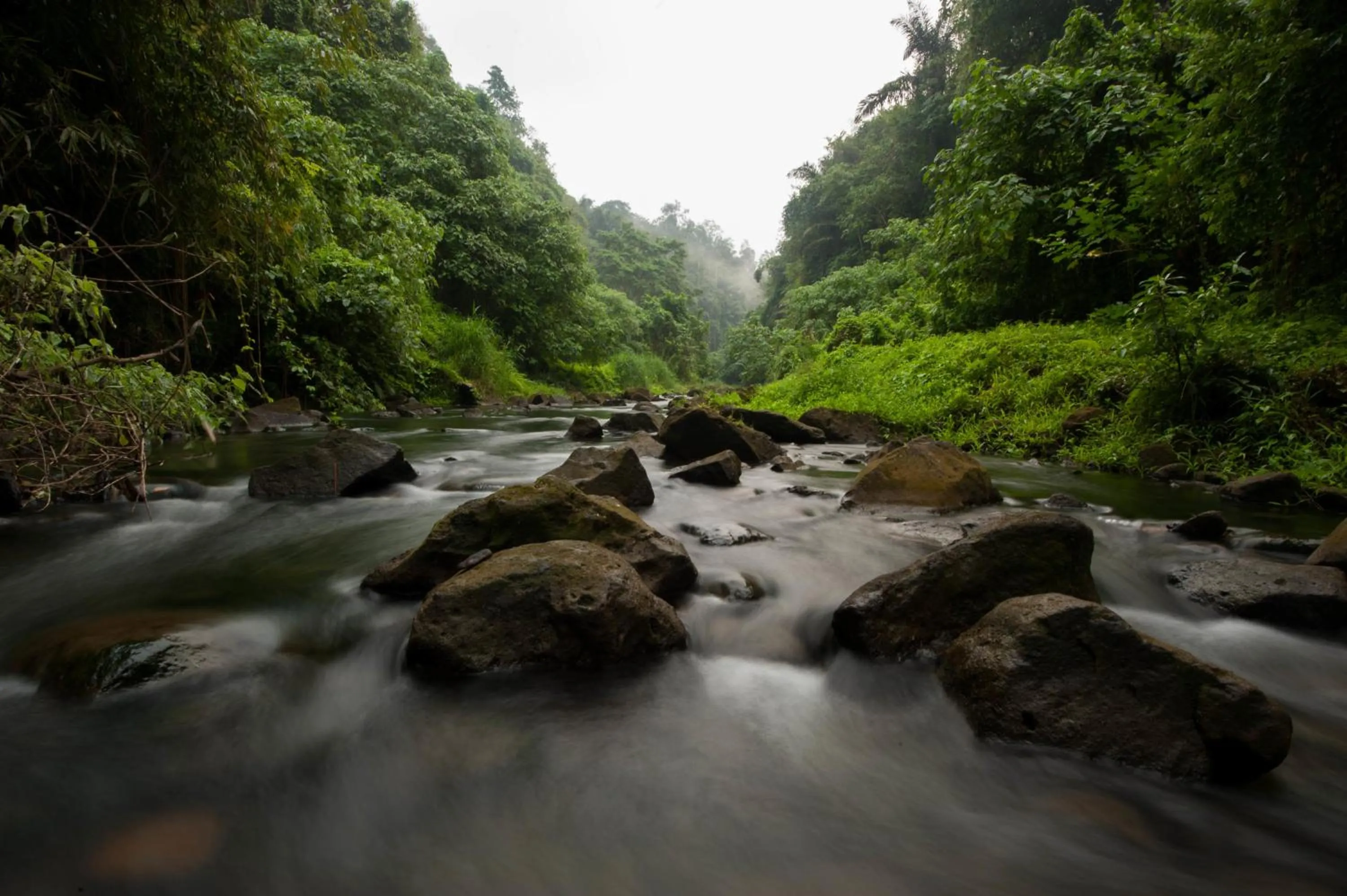 River view in Beji Ubud Resort