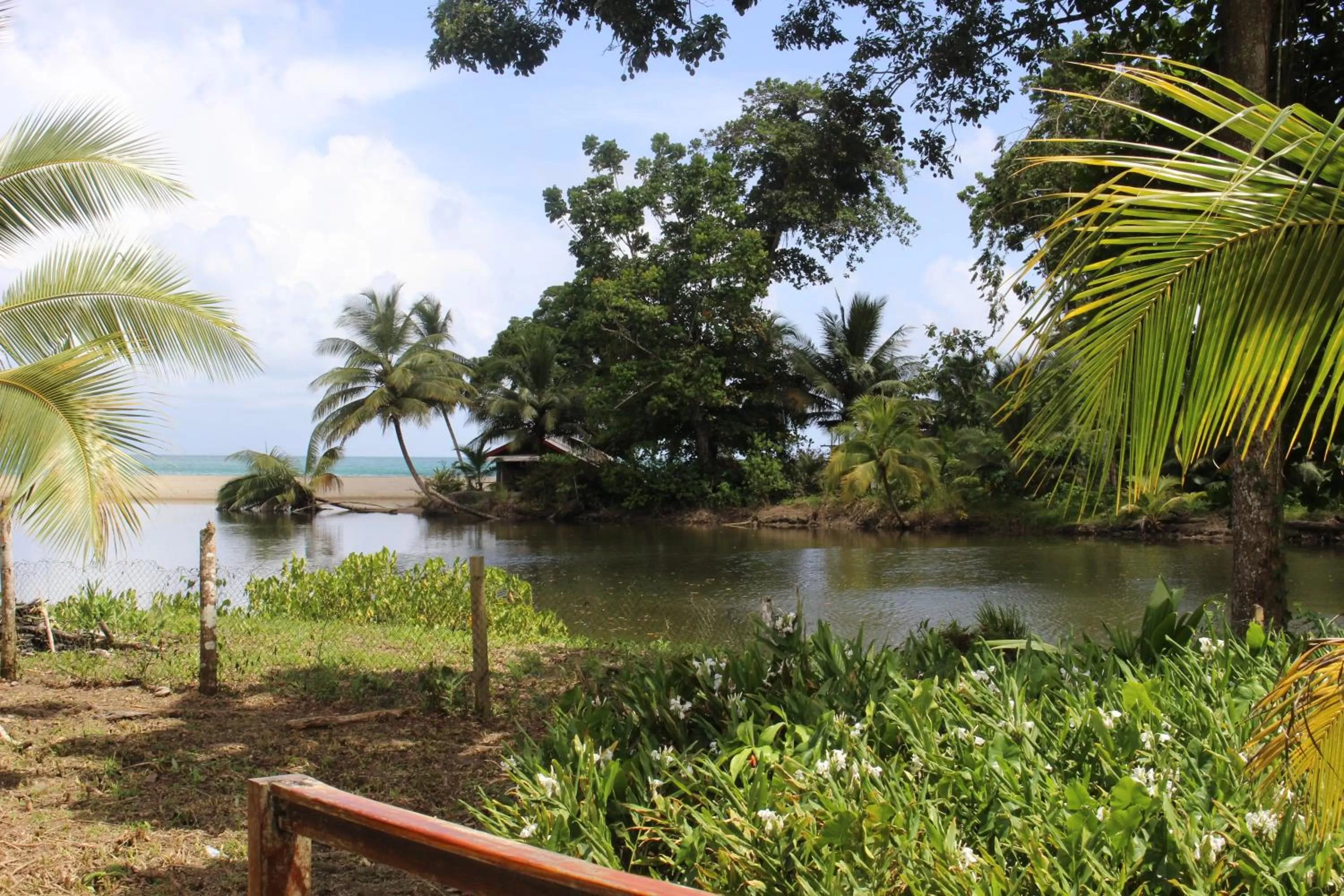 River view, Garden in Acajou Hotel