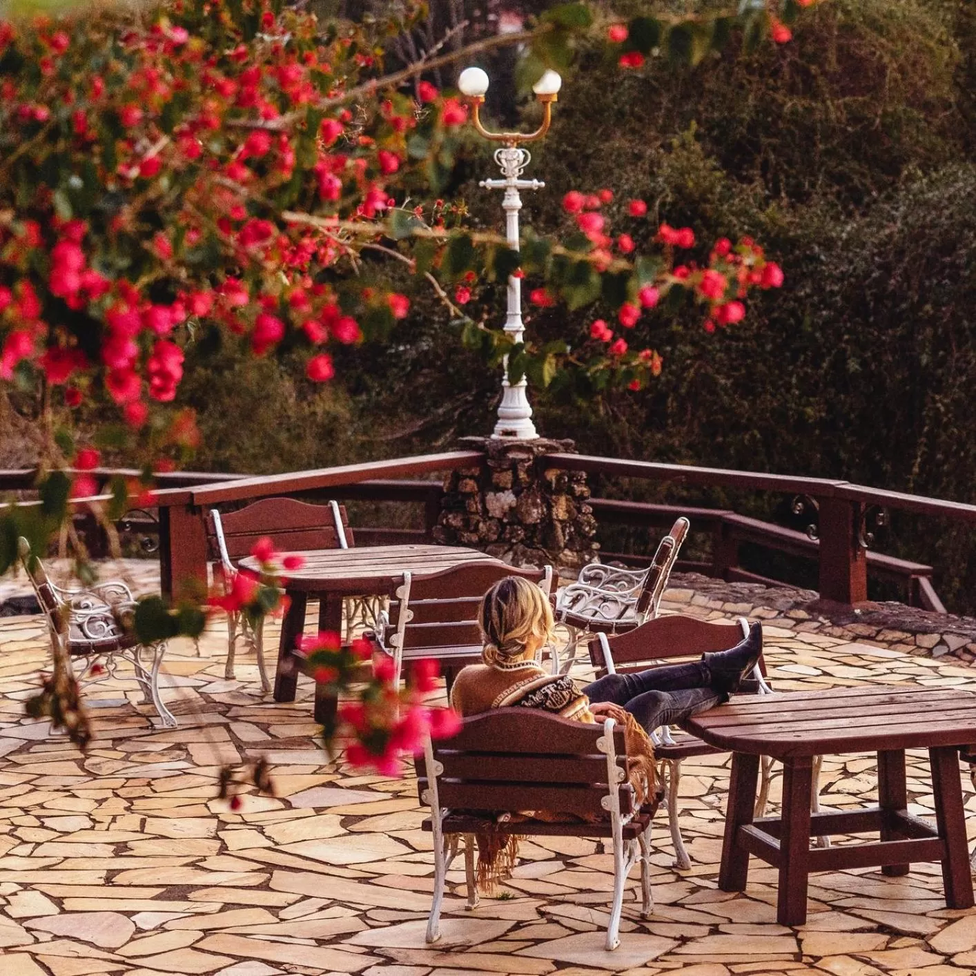 Patio in Hotel Meissner Hof