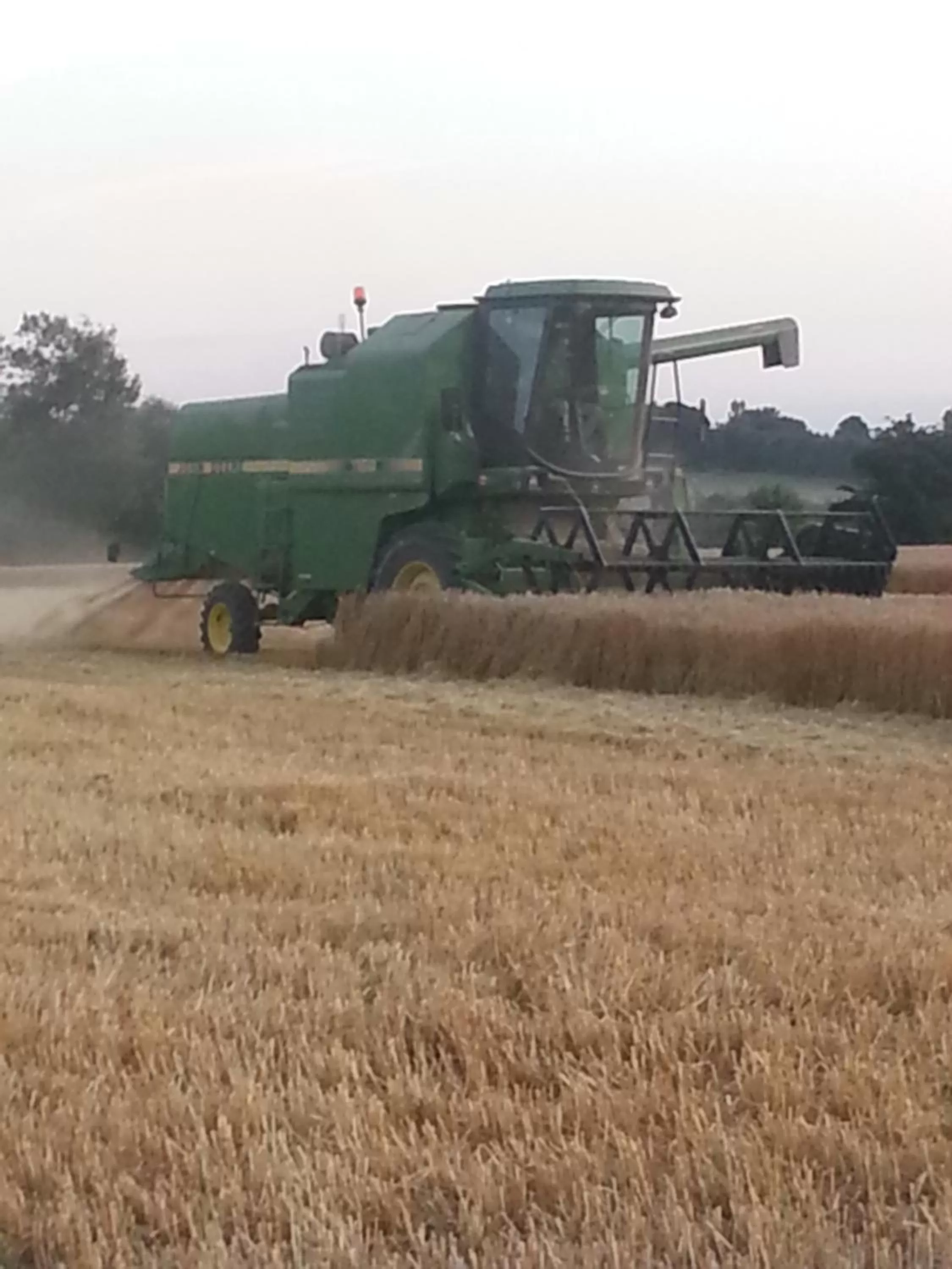 Day, Property Building in Roskilde B&B