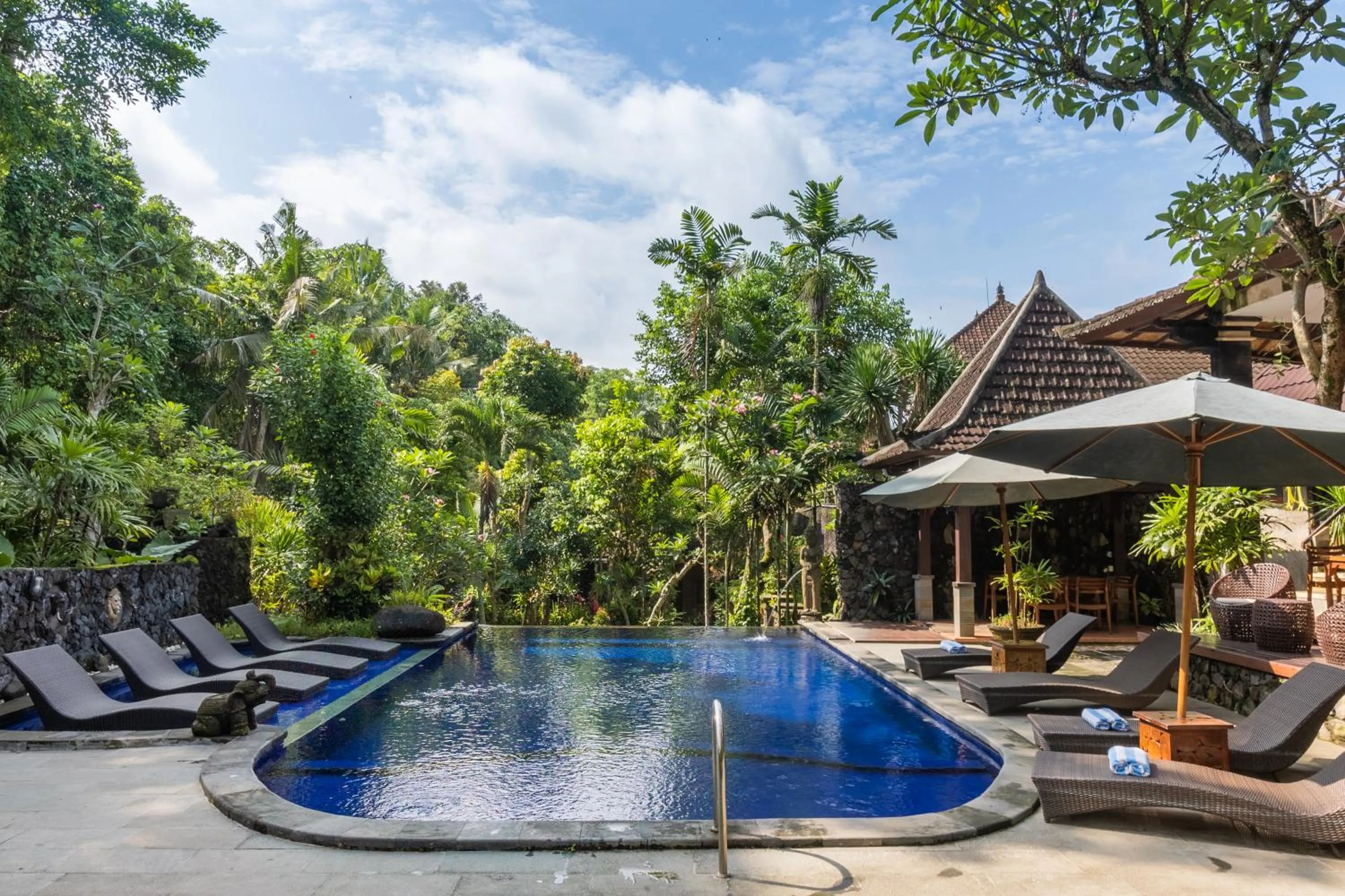 Swimming pool in Dewangga Ubud