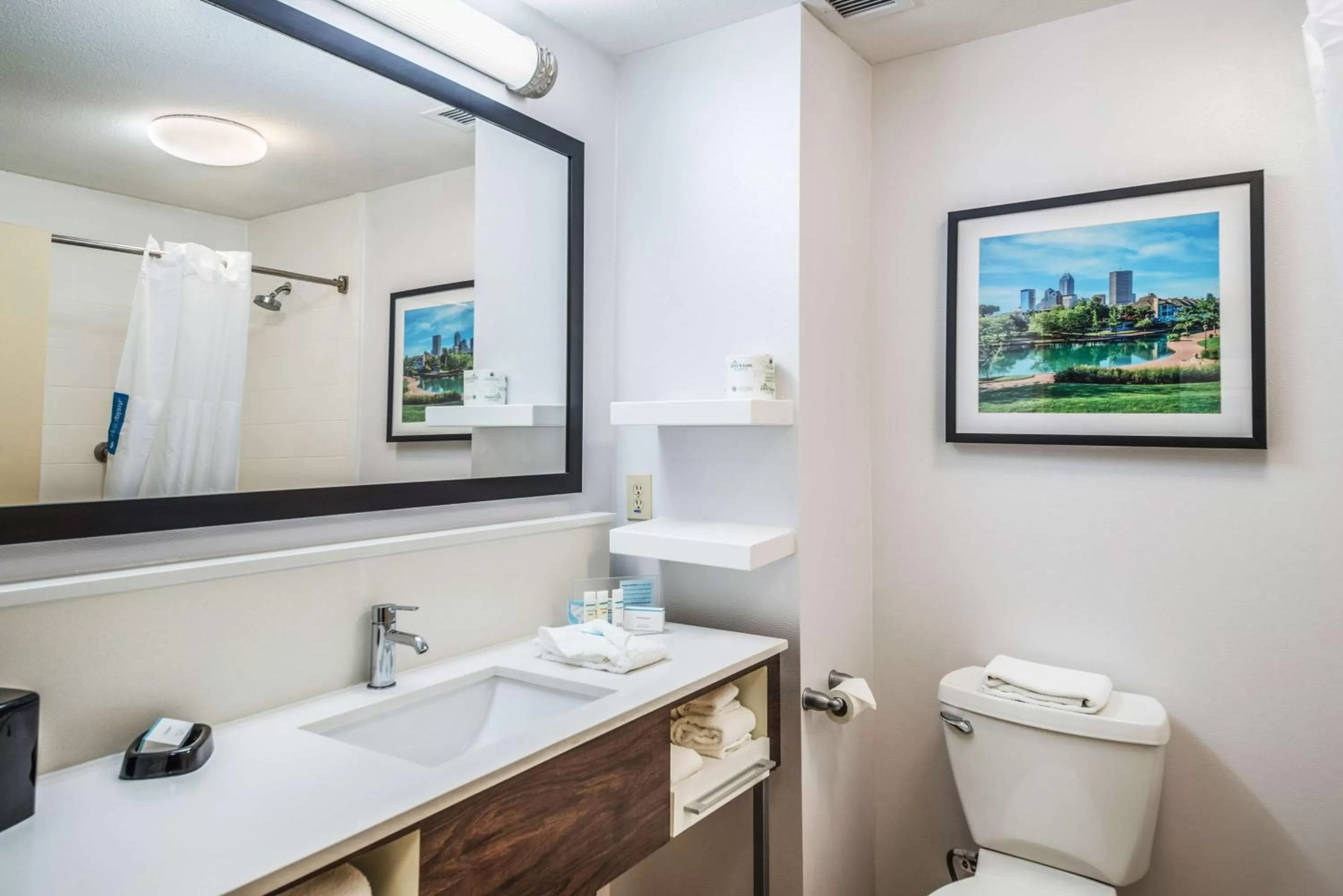 Bathroom in Hampton Inn Greenfield