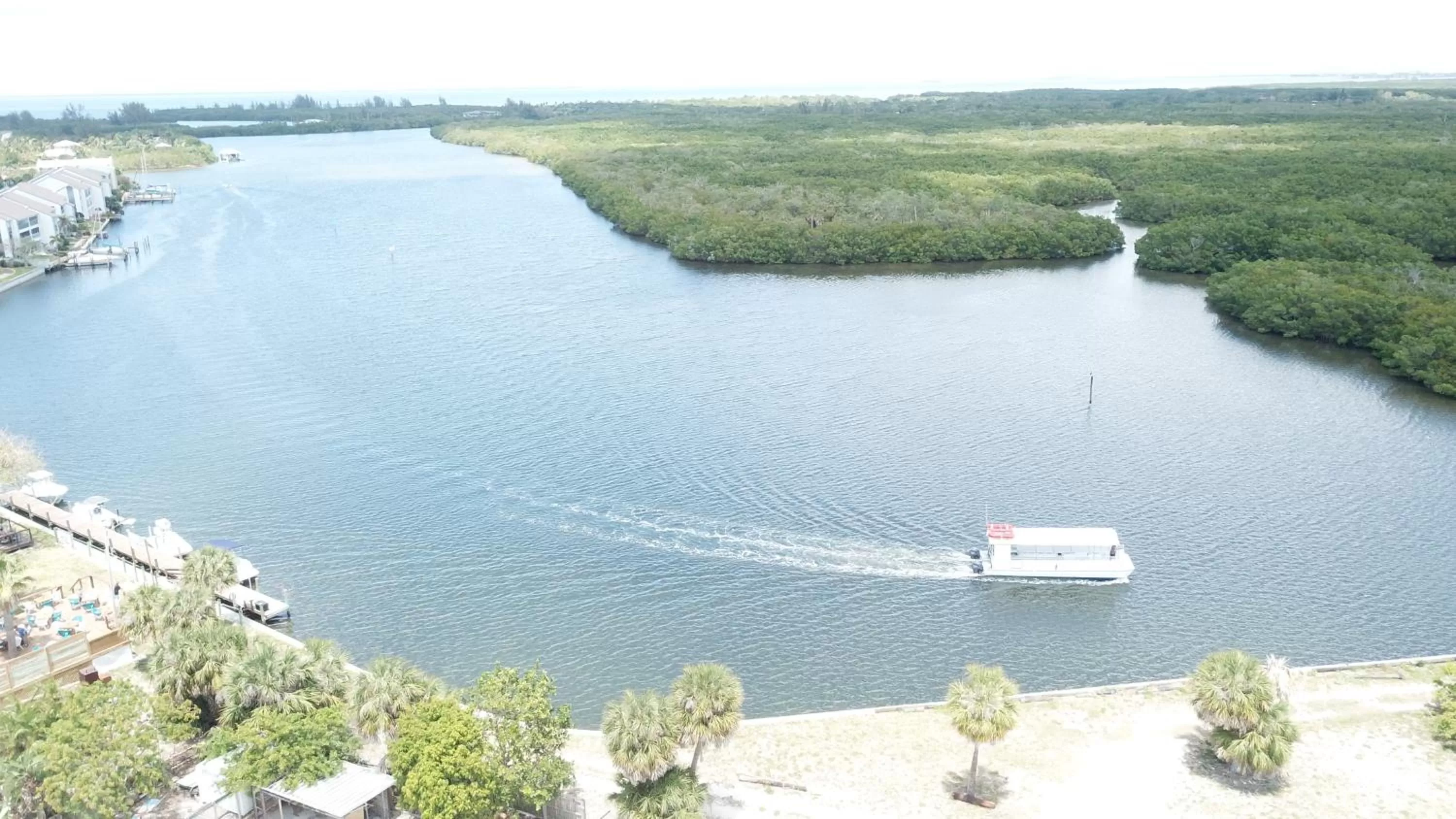 Day in TAMPA BAY, BEACH step away, WIFI, FREE PARKING,POOLS, JACUZZI