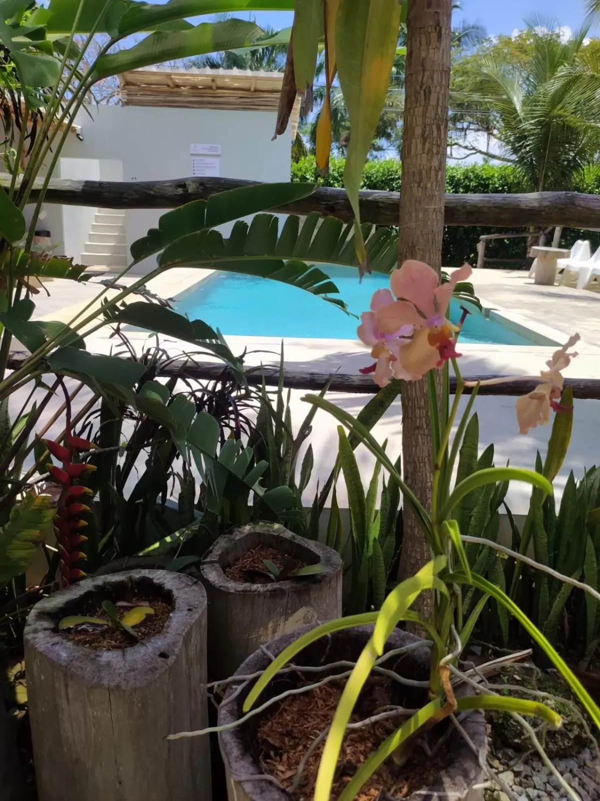 Swimming pool in Residencia El Balatà